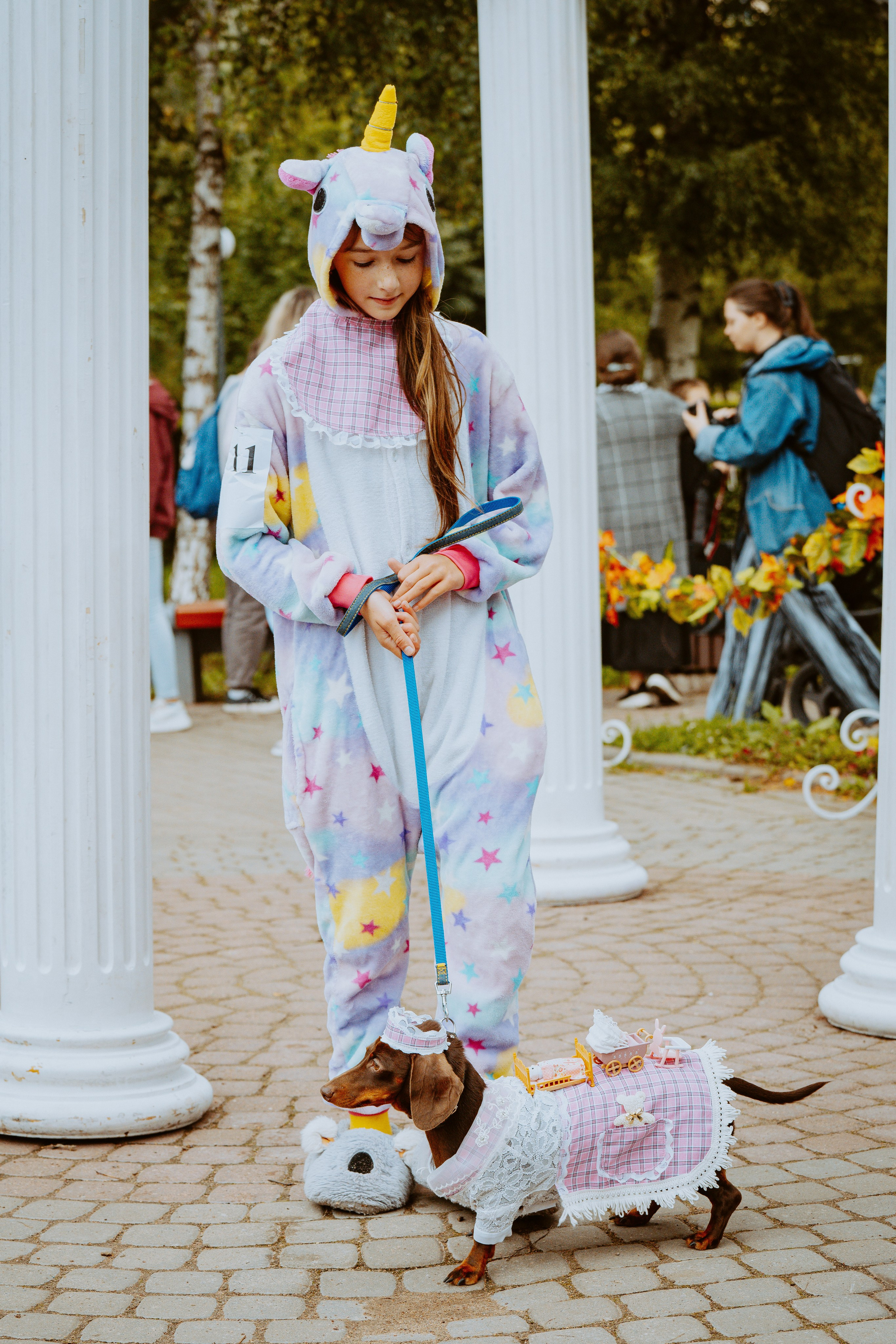 Такспарад. Фотограф анималист в Спб недорого Олеся Майорова