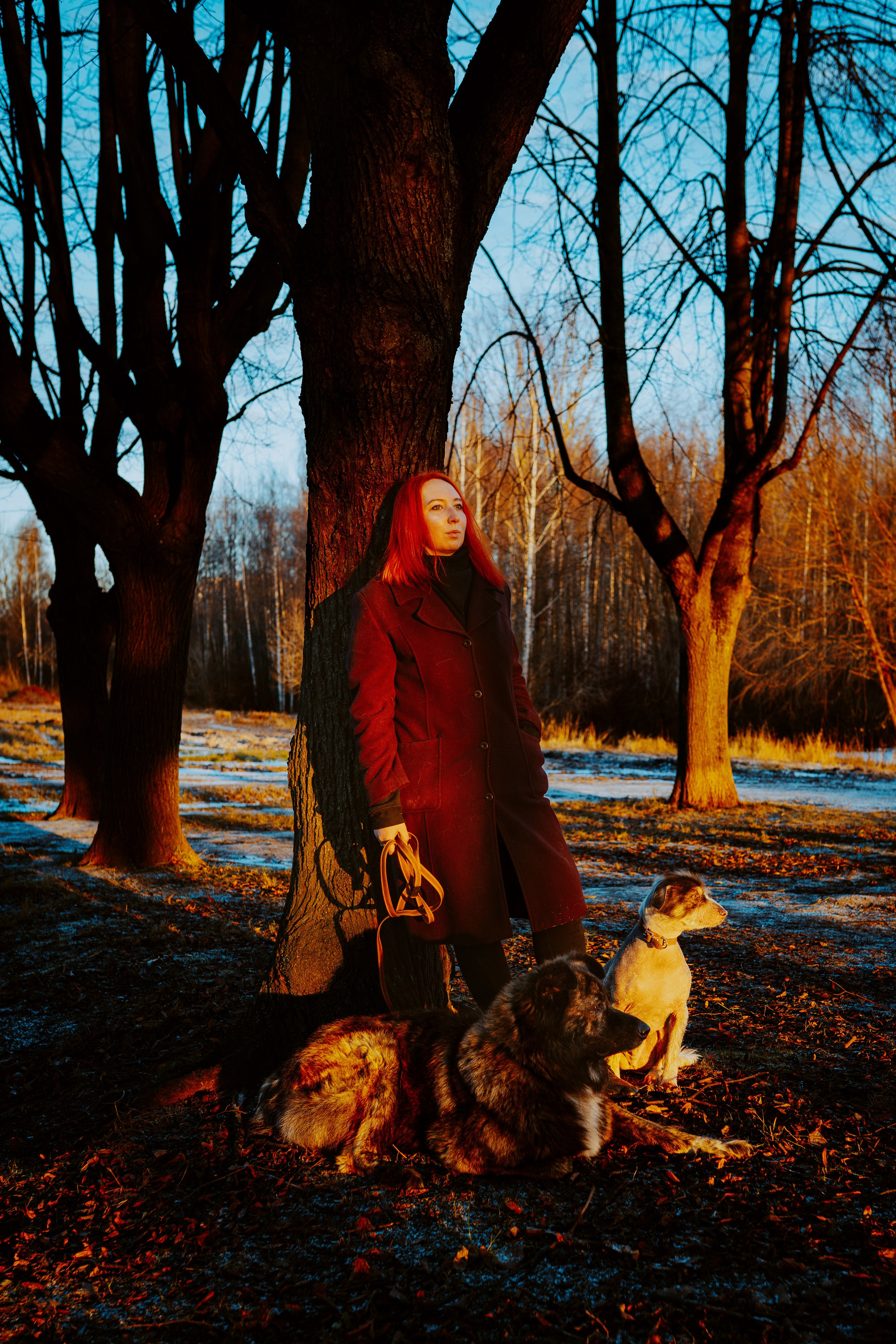 Творческая фотосессия фотографа анималиста. Фотограф анималист в Спб недорого Олеся Майорова