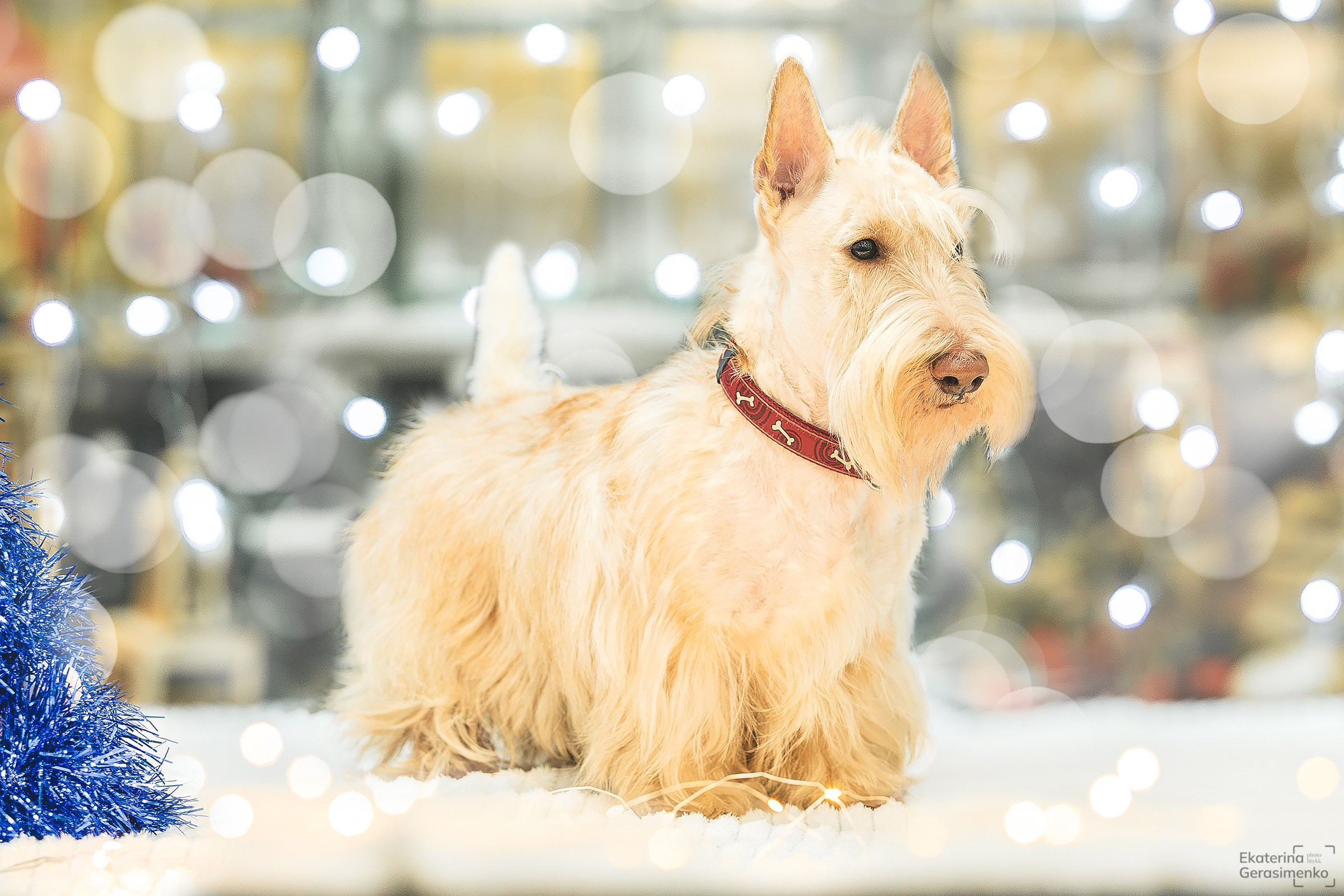 Фотодень. Htykk_photo