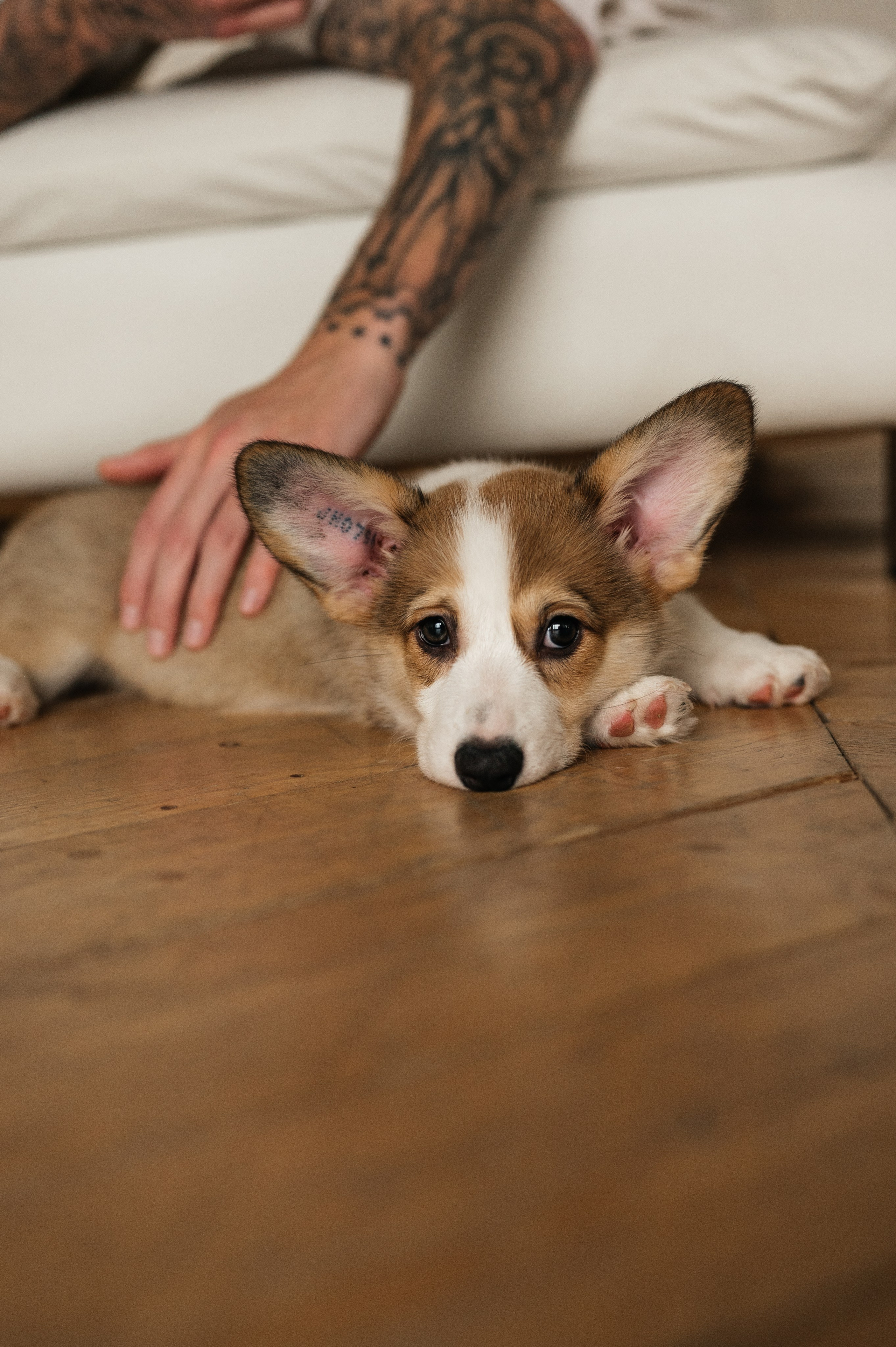Миша, Маша и Боня. Свадебный и семейный фотограф в Краснодаре Алина Мельник