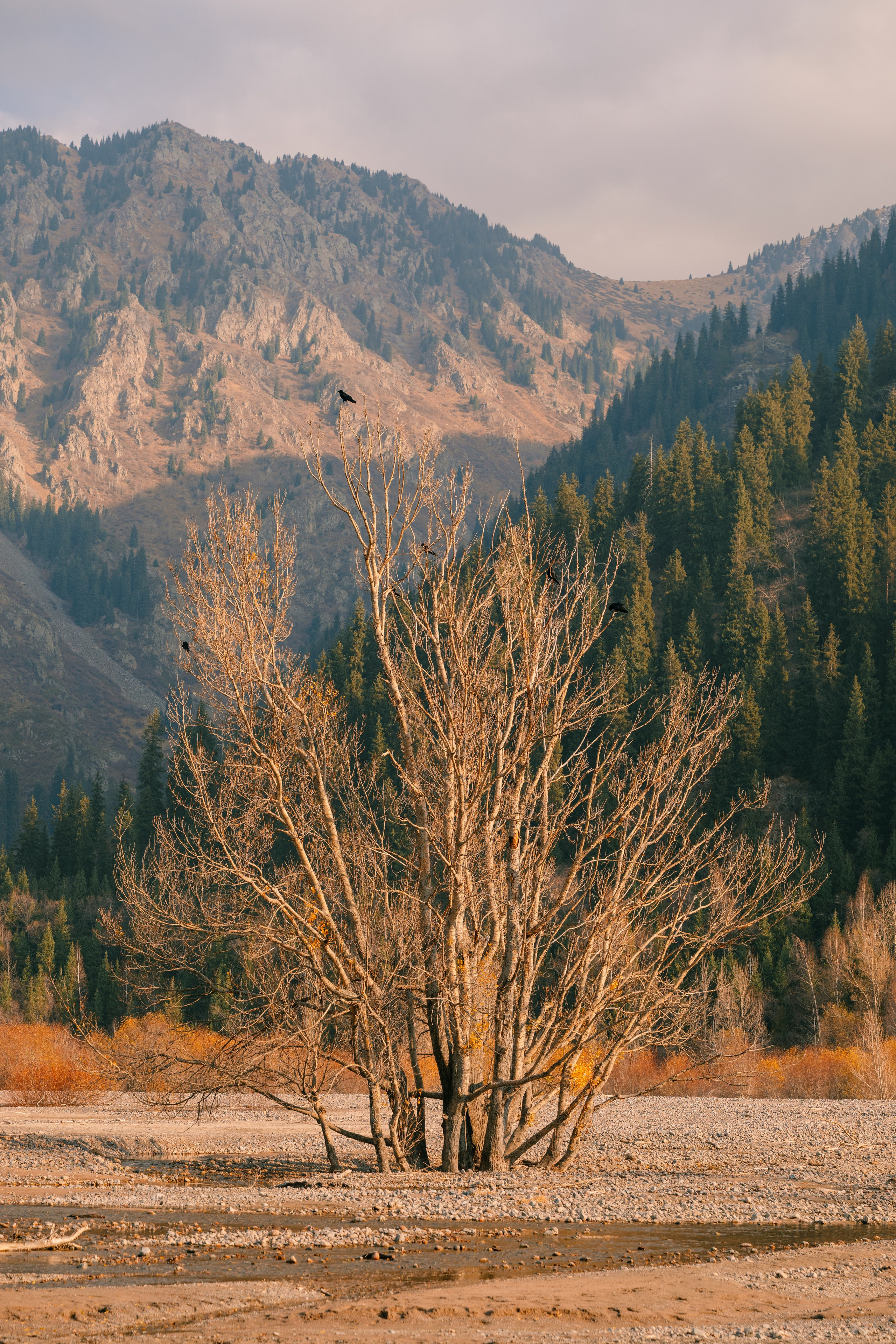 Озеро Иссык, осень 2025. Фотограф в Алматы — Алексей Коньков | Репортаж, свадьбы, портреты
