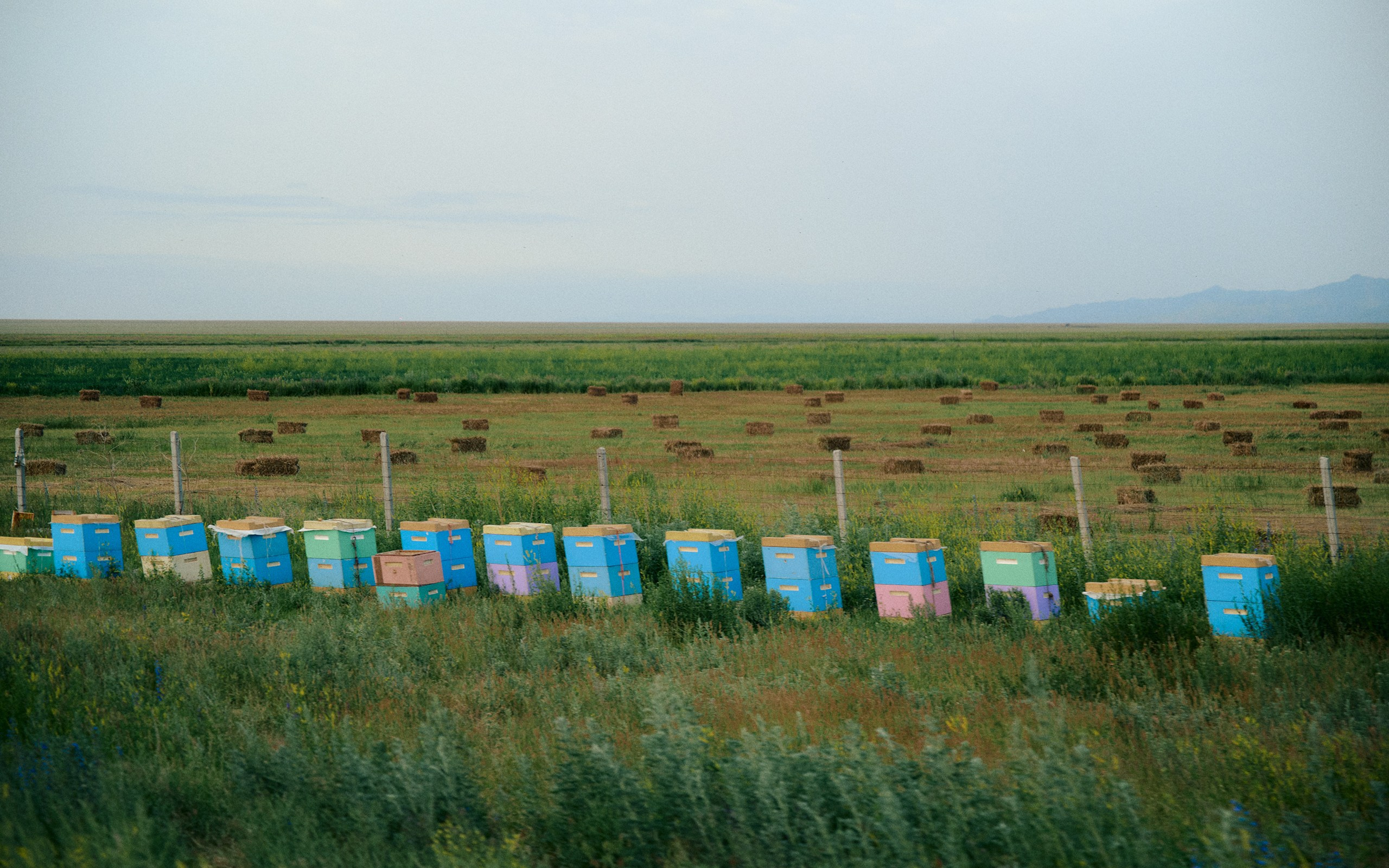 2025 — путешествия на цифру. Фотограф в Алматы — Алексей Коньков | Репортаж, свадьбы, портреты