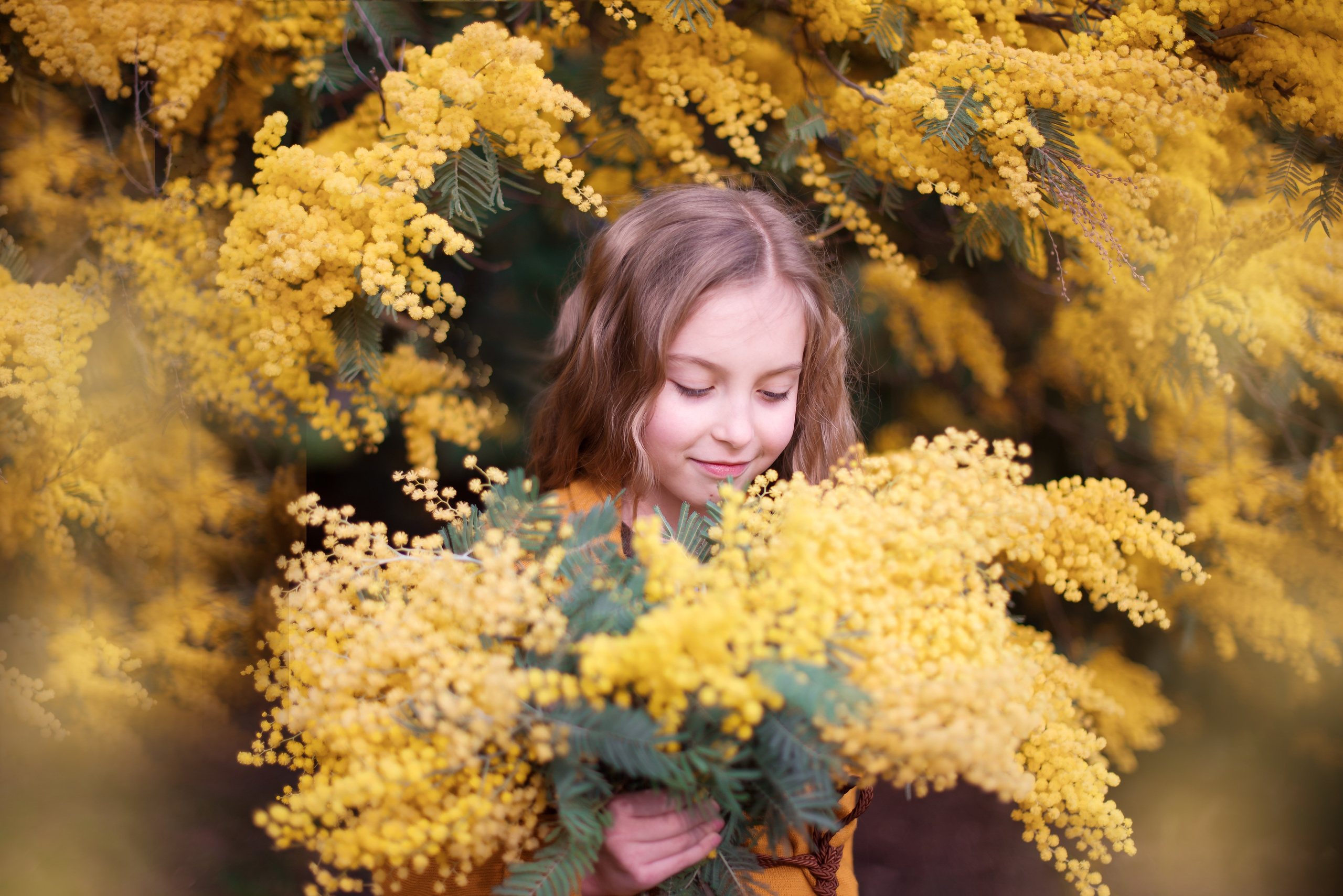 Мимоза. Детский и семейный фотограф в Абхазии