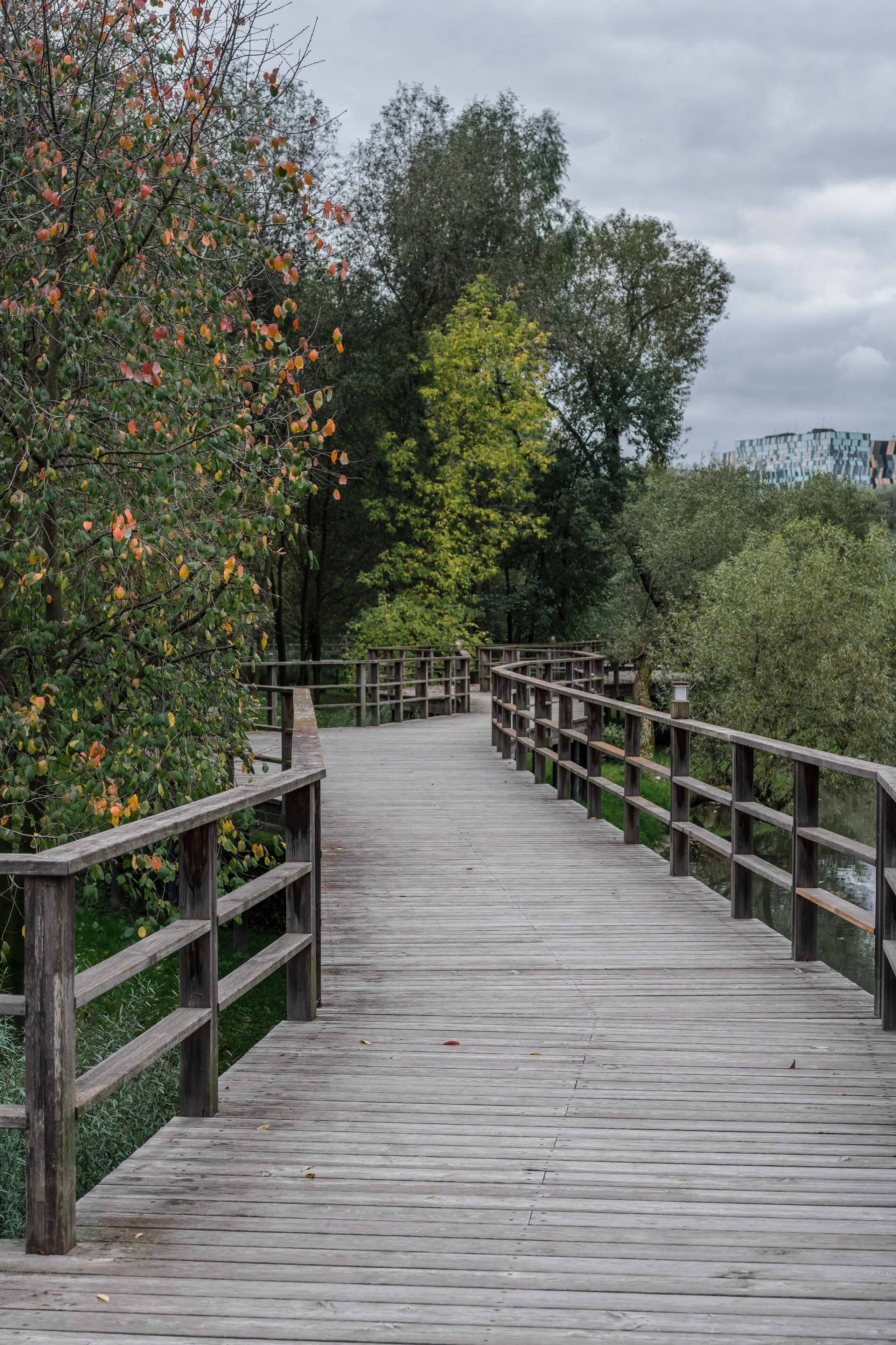 Skolkovo Park. Артамонов Александр | Архитектурный и ландшафтный фотограф