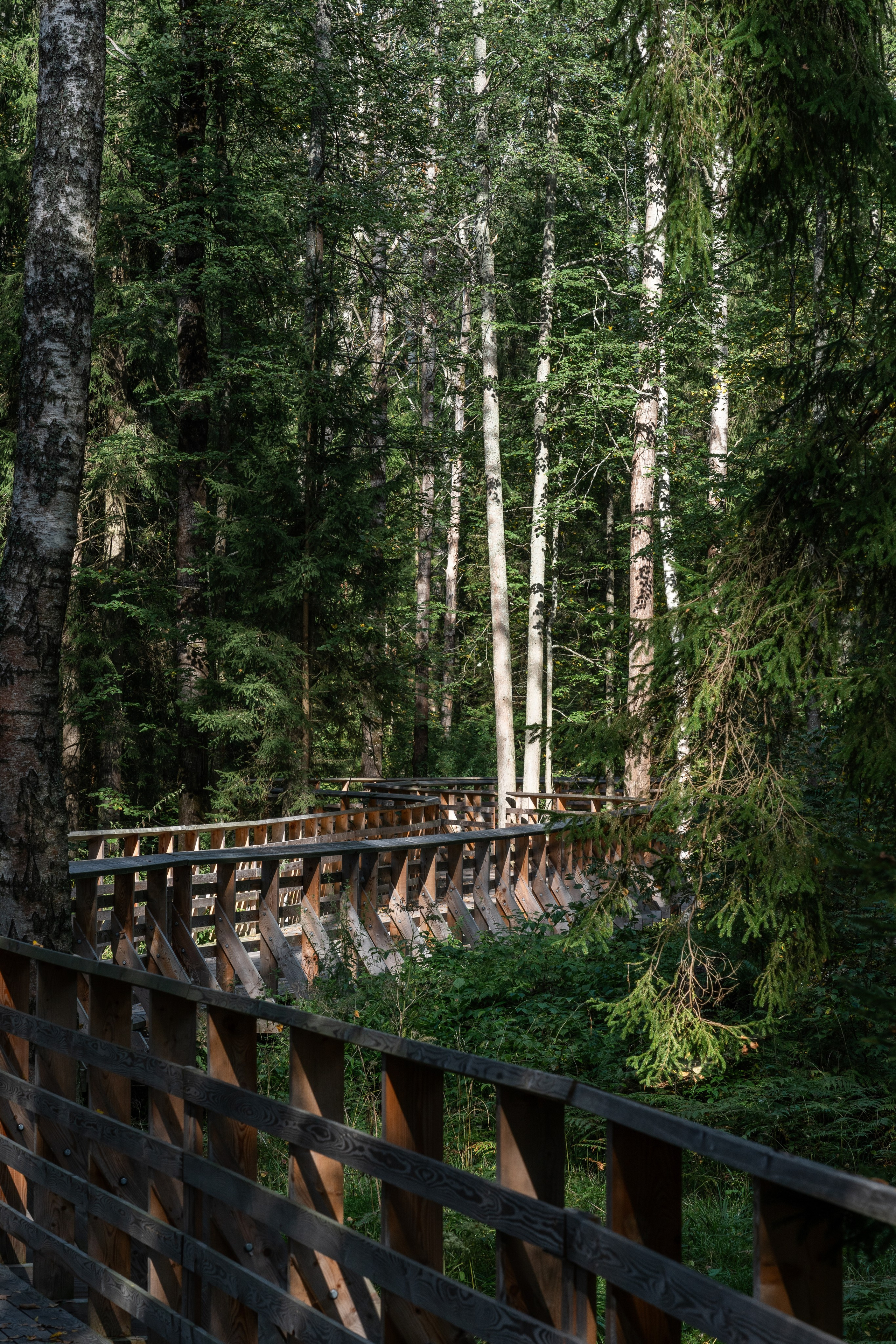 VELO1. Артамонов Александр | Архитектурный и ландшафтный фотограф