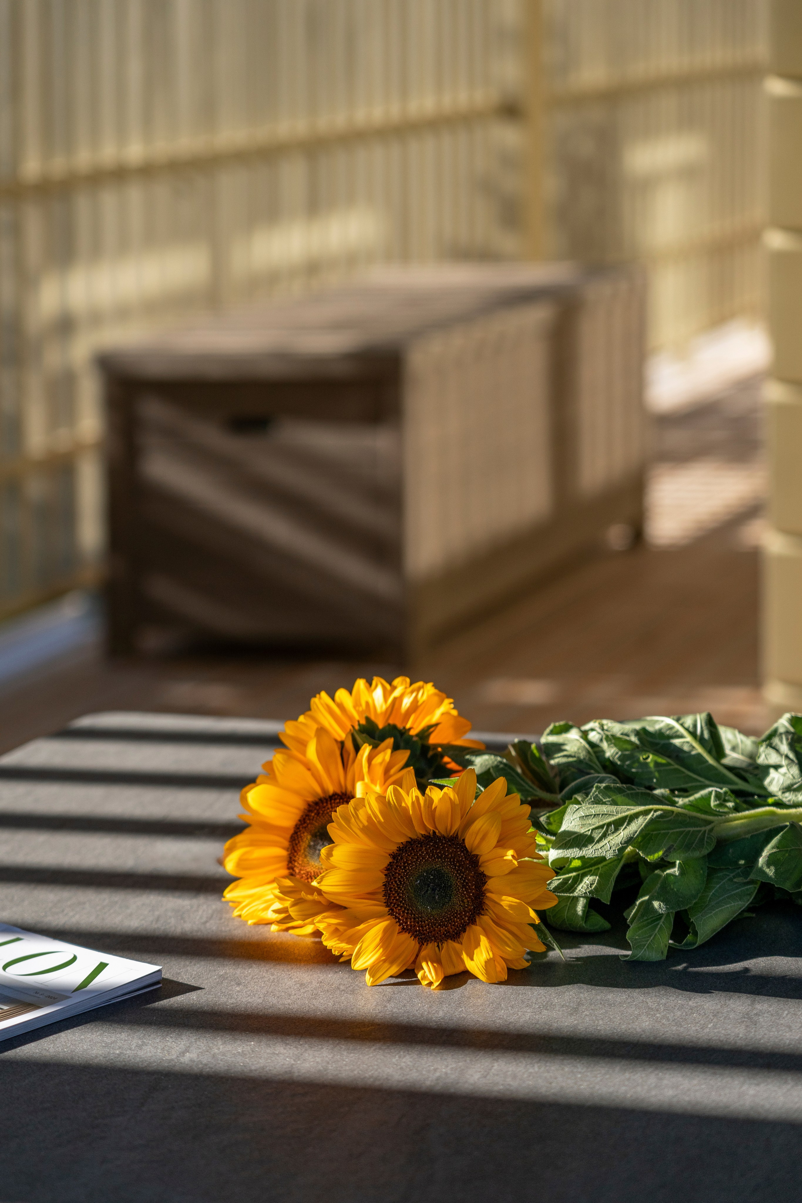 In the mystery of the setting sun. Артамонов Александр | Архитектурный и ландшафтный фотограф