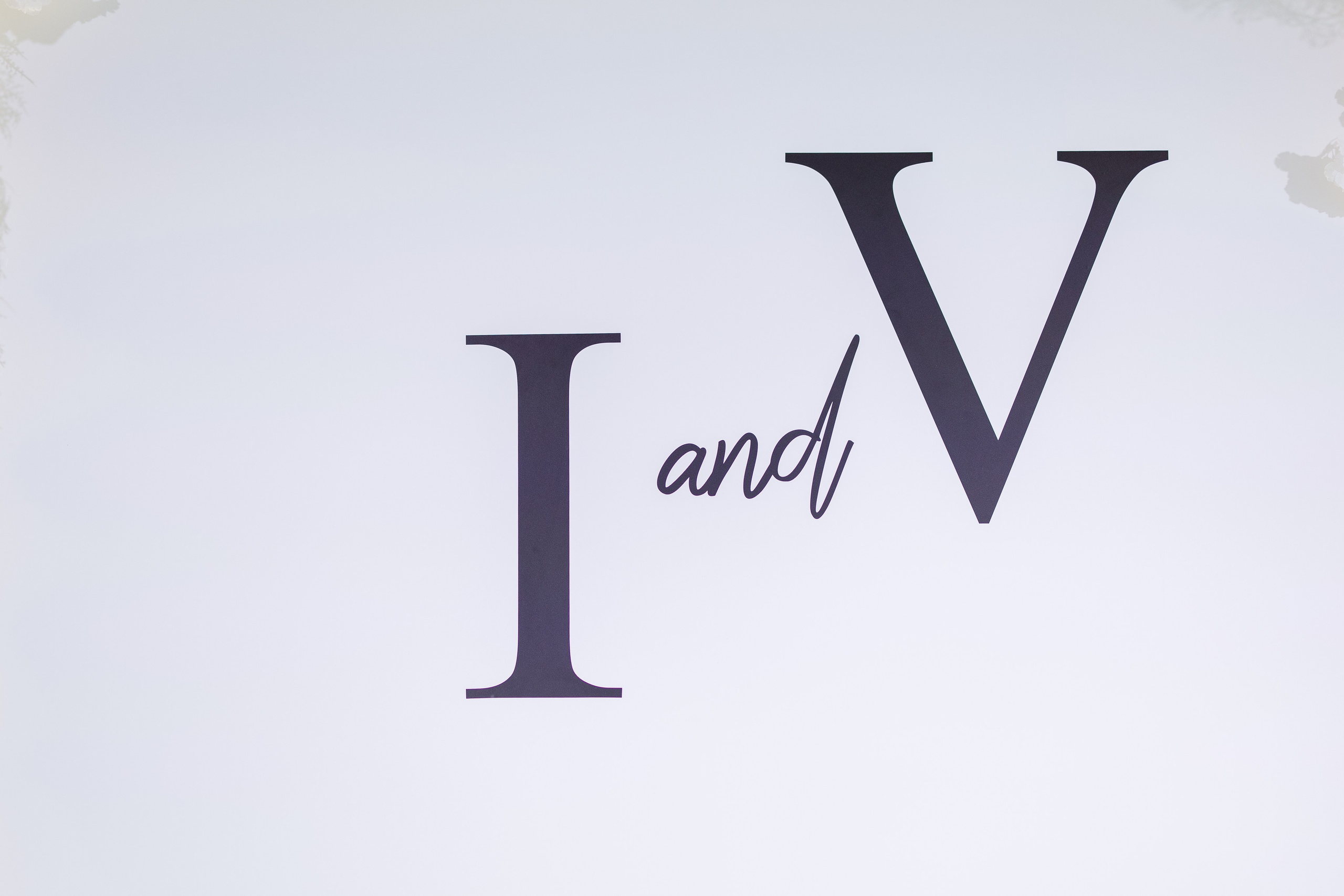 Виктория и Илья. Свадебный фотограф Витебск Минск