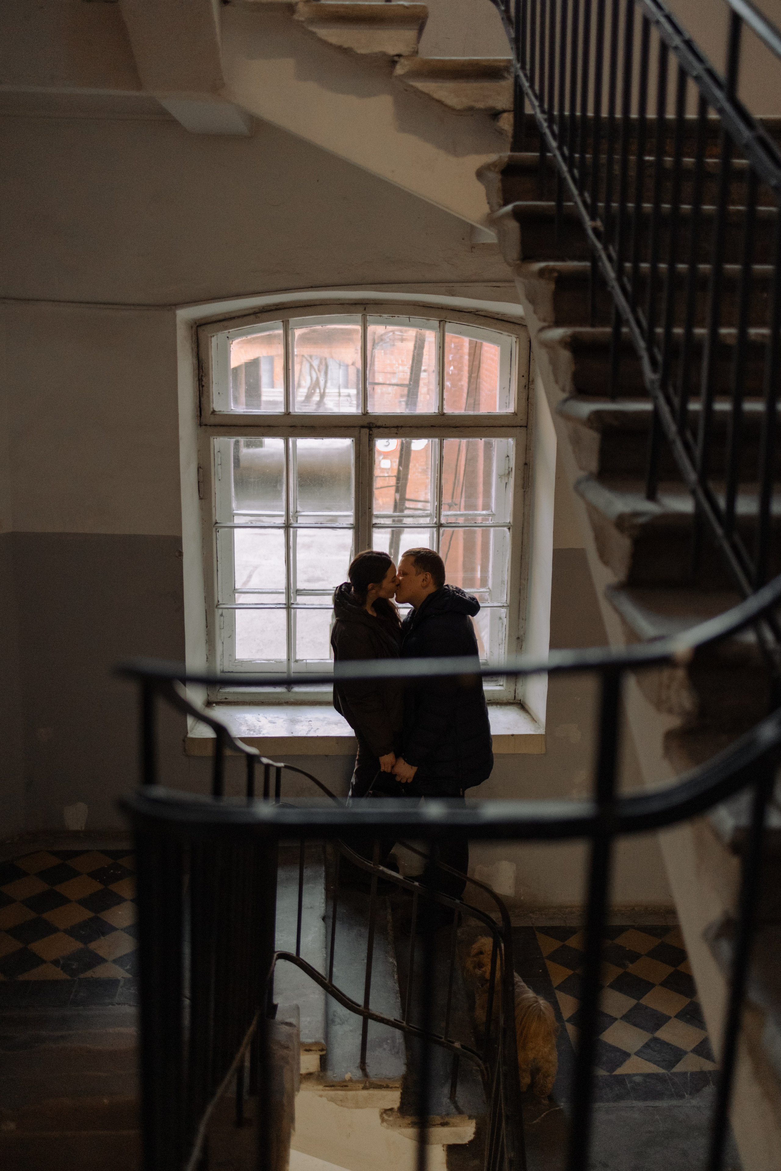 Шкипер и его семья. Фотограф — Анималист | Санкт-Петербург