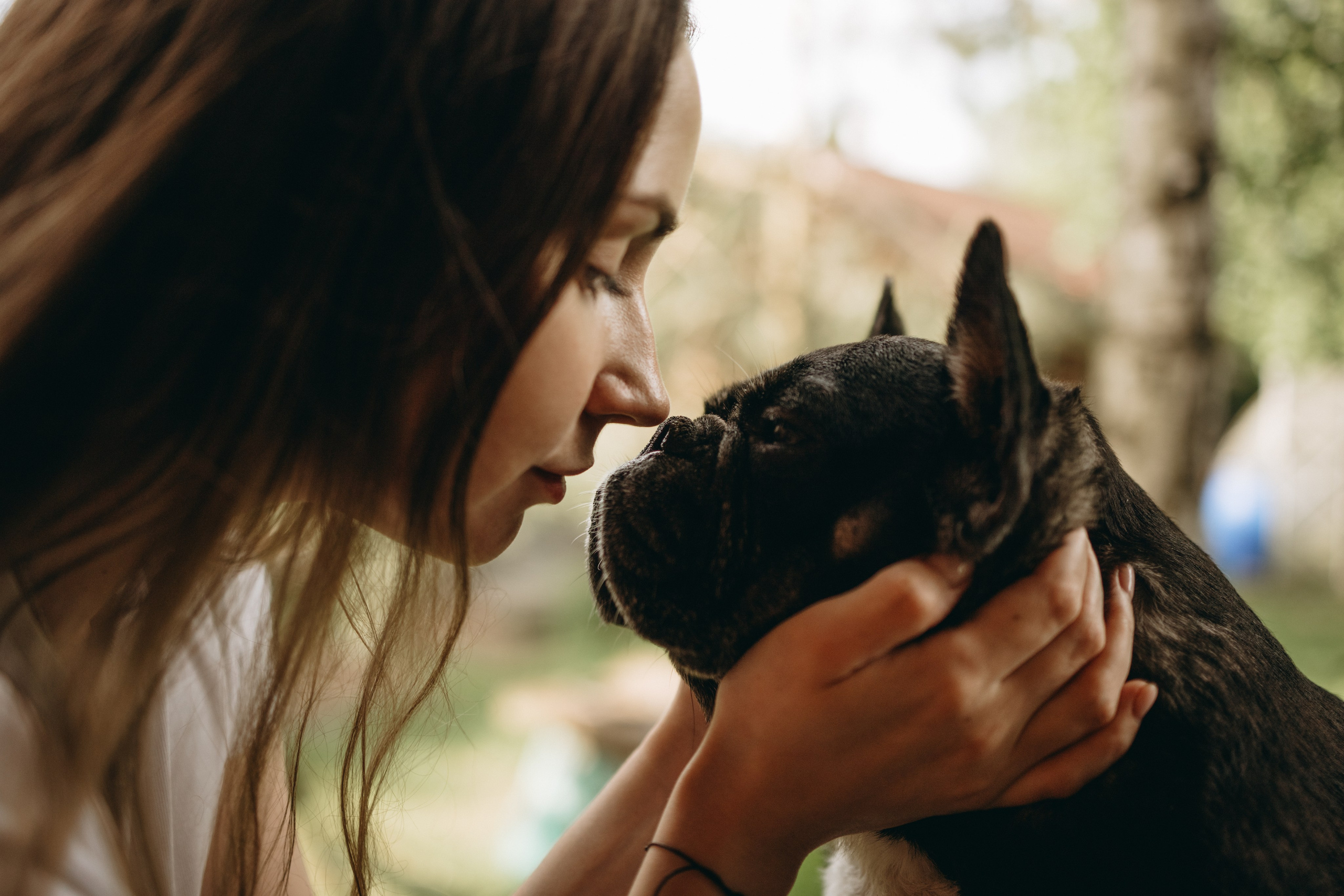 Софа и ее хвостики. Фотограф — Анималист | Санкт-Петербург