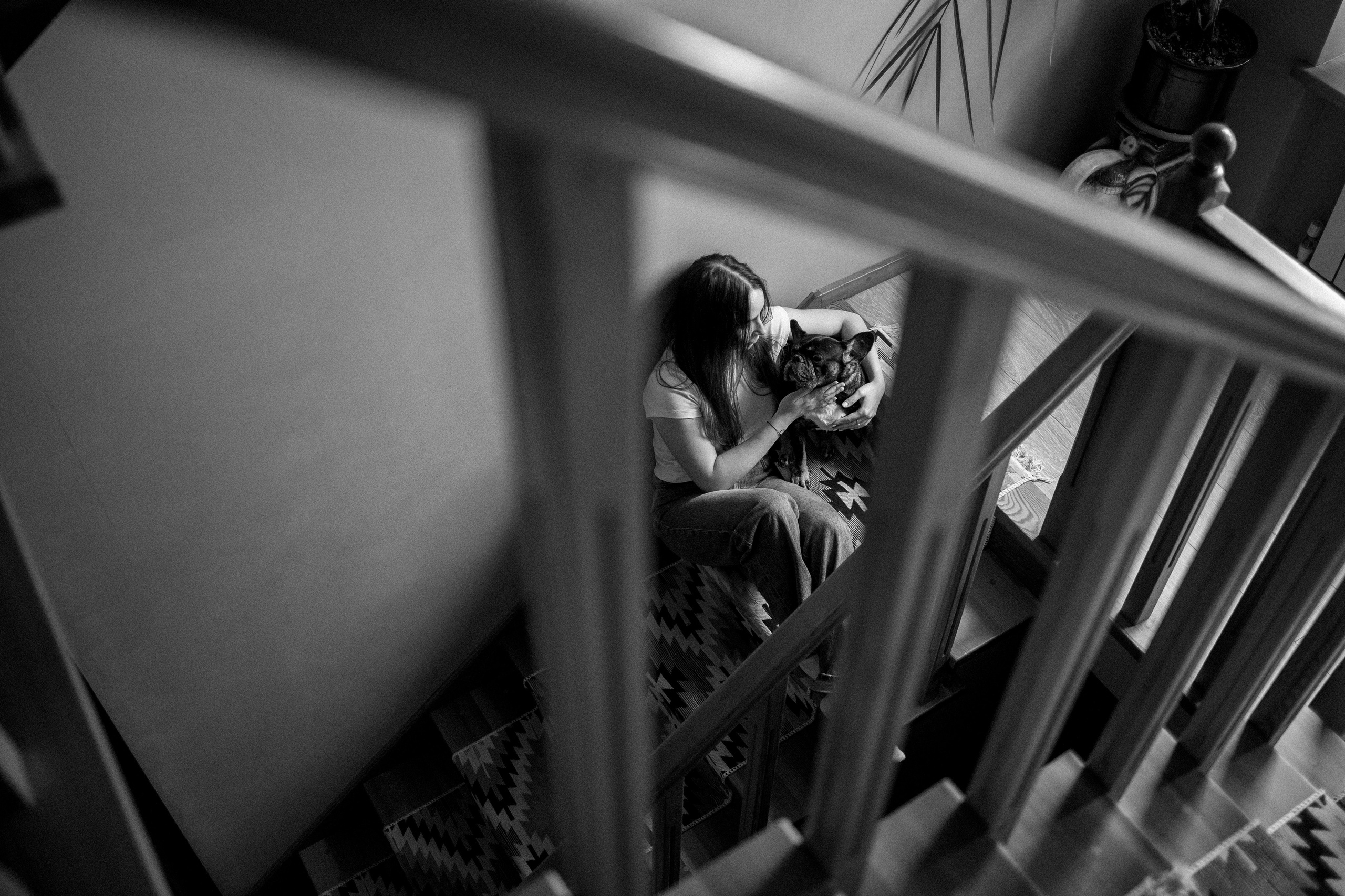 Софа и ее хвостики. Фотограф — Анималист | Санкт-Петербург