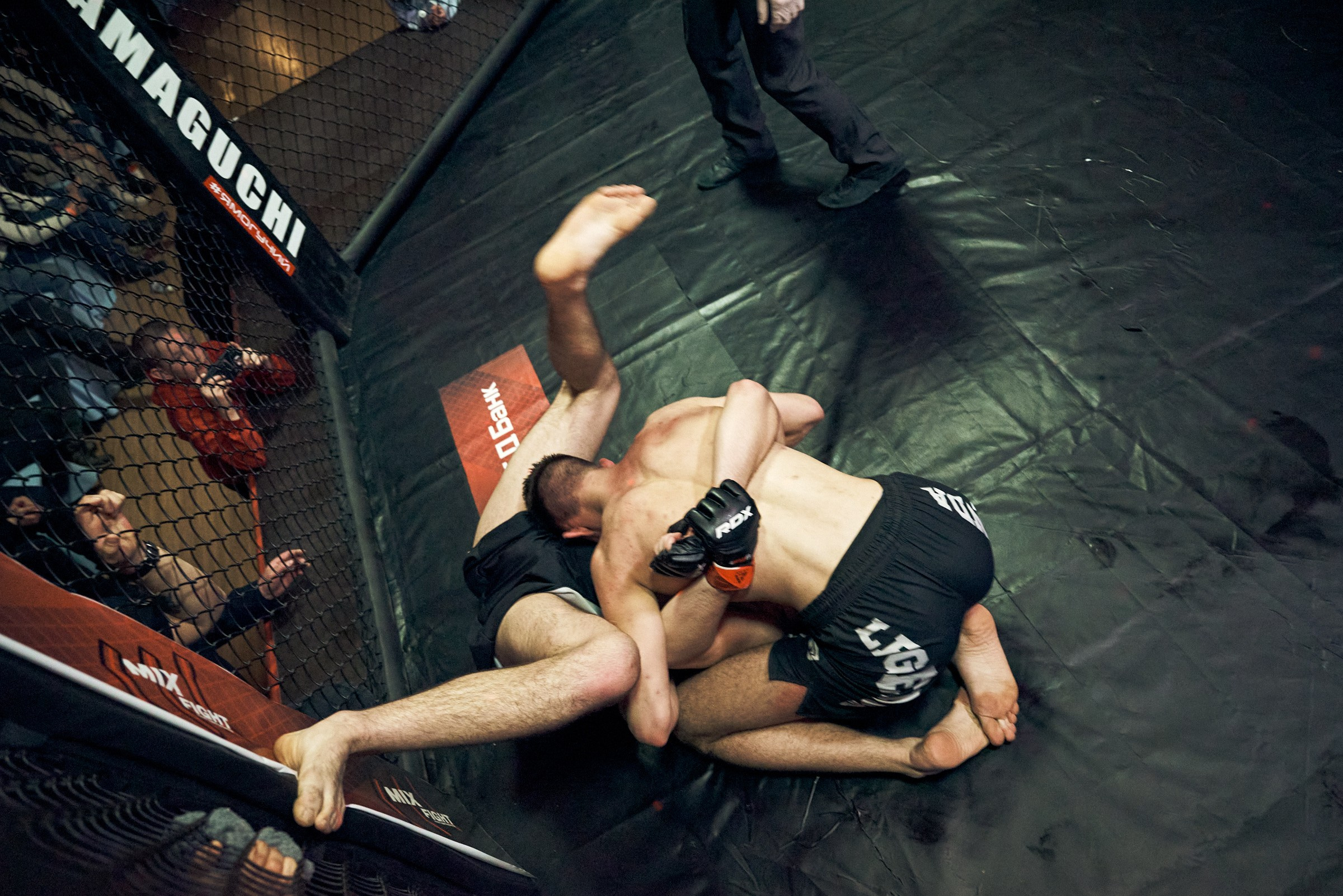 Бои. Маляревич Дмитрий свадебный фотограф