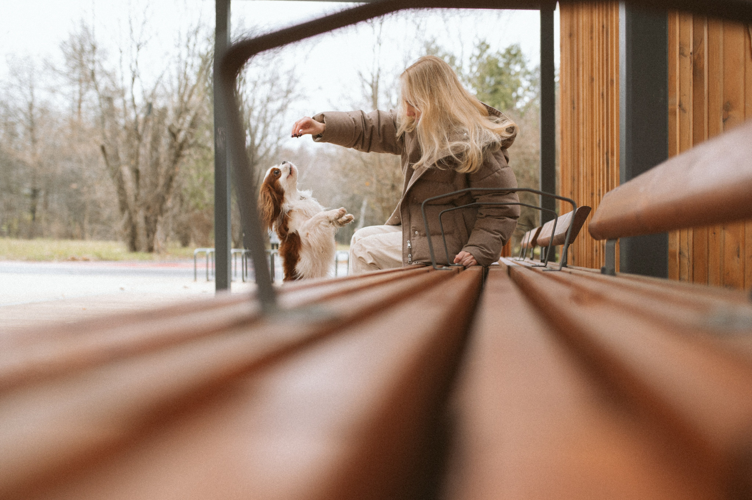 Настя и Тэйлор. Фотограф анималист в Москве Ольга Агушева