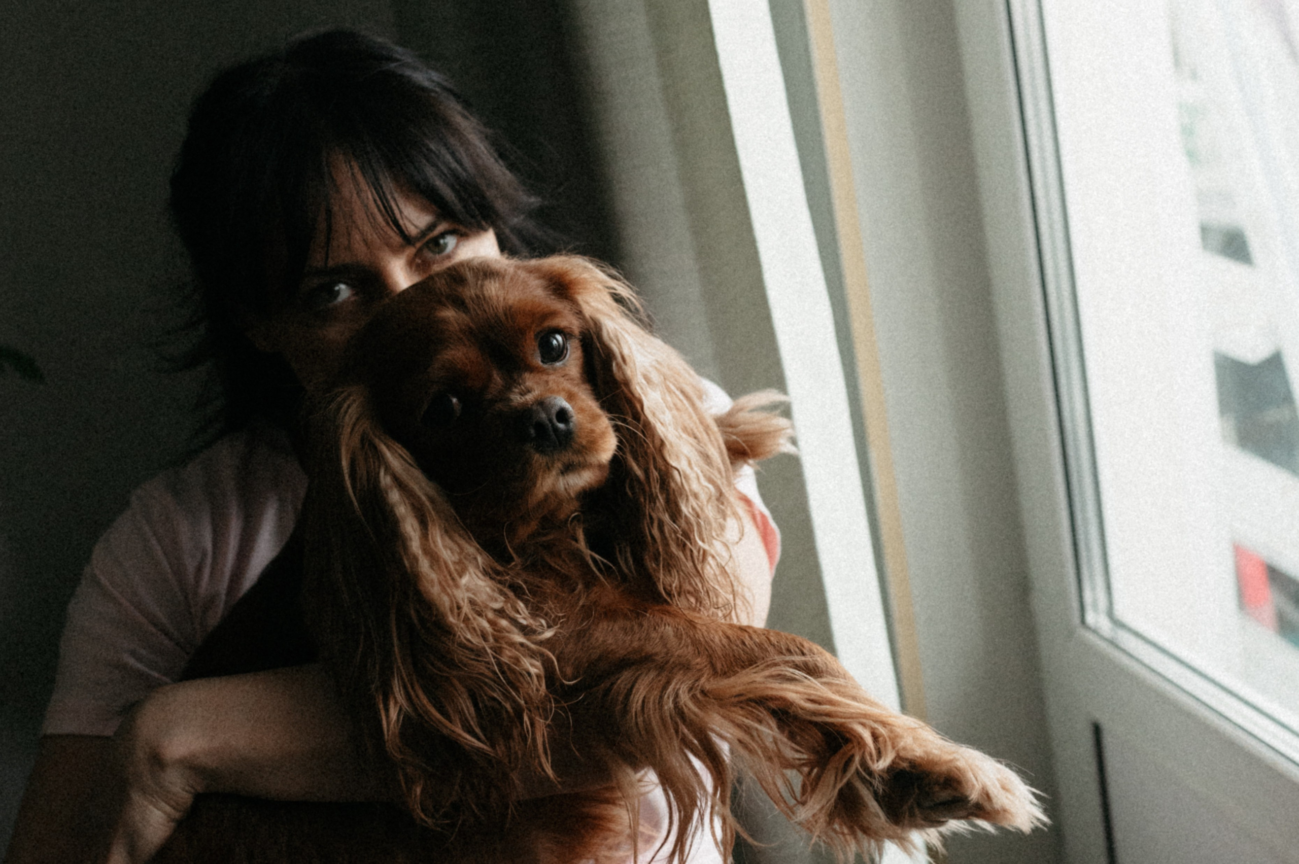 Оля и её меховая банда. Фотограф анималист в Москве Ольга Агушева