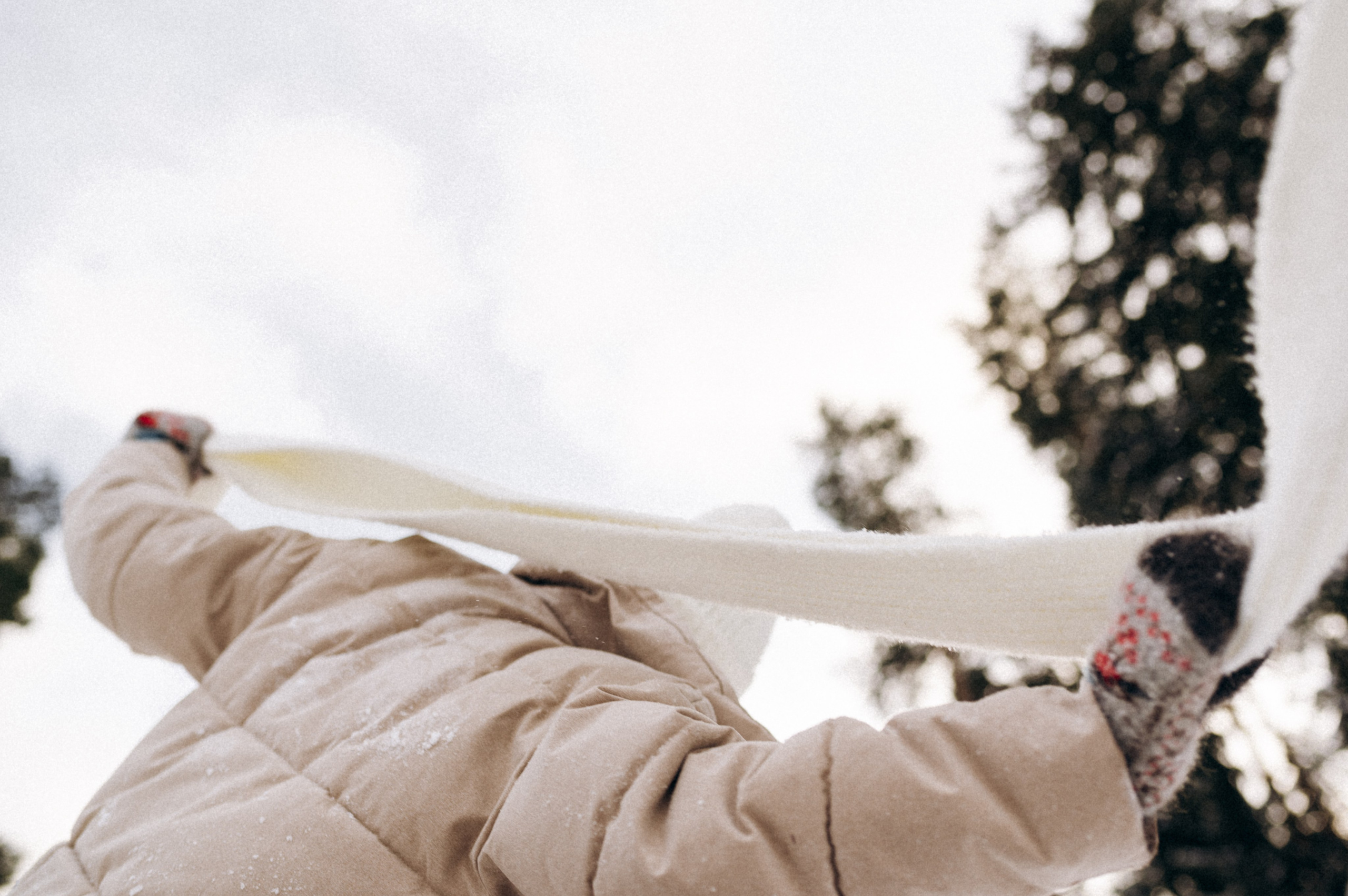 Аня и Милан. Фотограф анималист в Москве Ольга Агушева