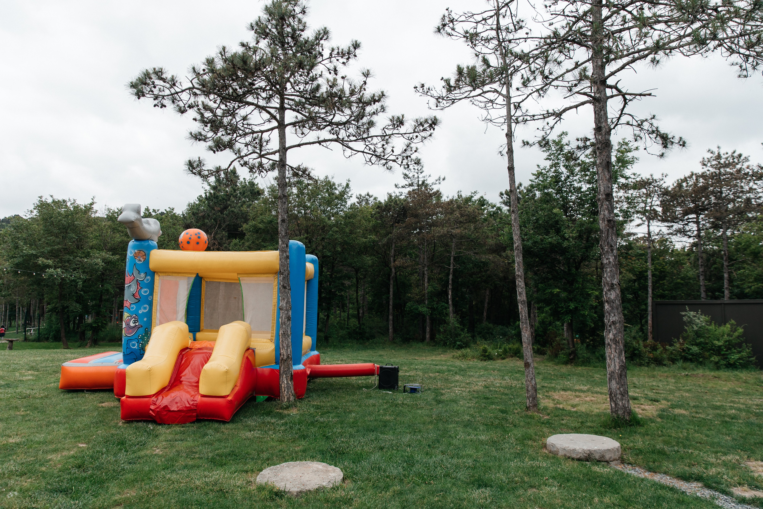 Yandex Family Day. Свадебный и репортажный фотограф