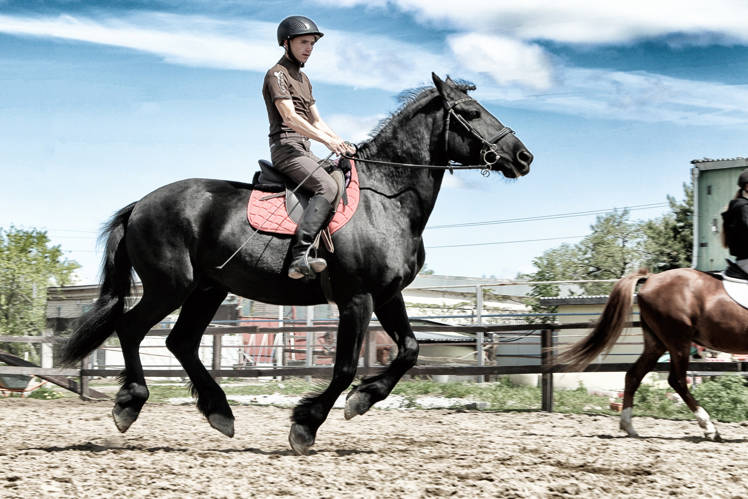 Лошади «Каскад» и «Брилиант». Алиса Томшина — Фотограф / Видеограф
