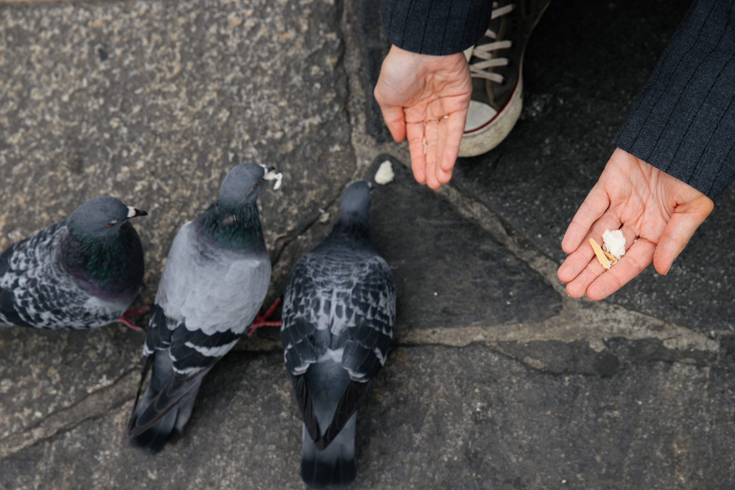 Ломбардия. Свадебный фотограф Москва Степановский Александр