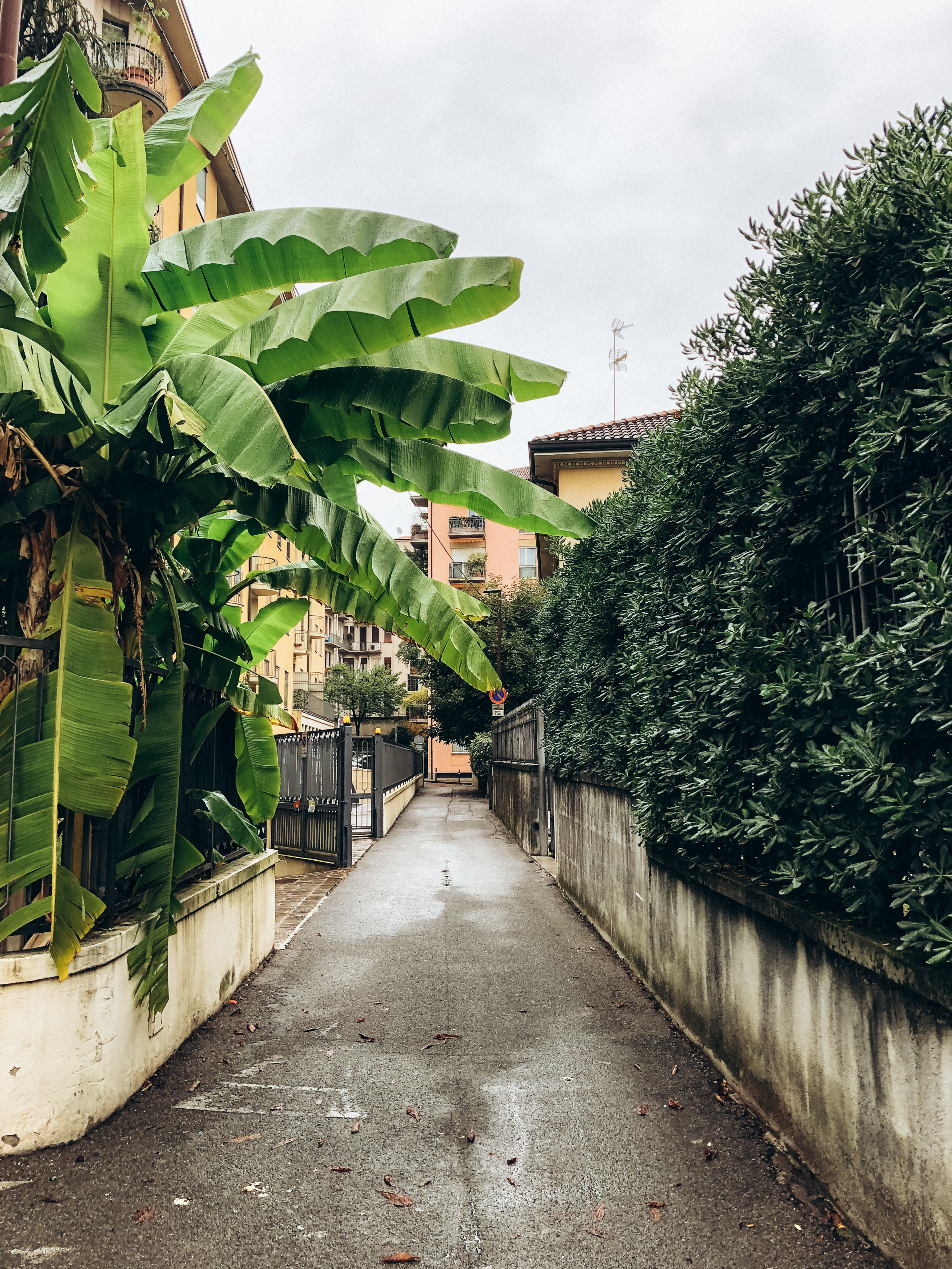 Ломбардия. Свадебный фотограф Москва Степановский Александр