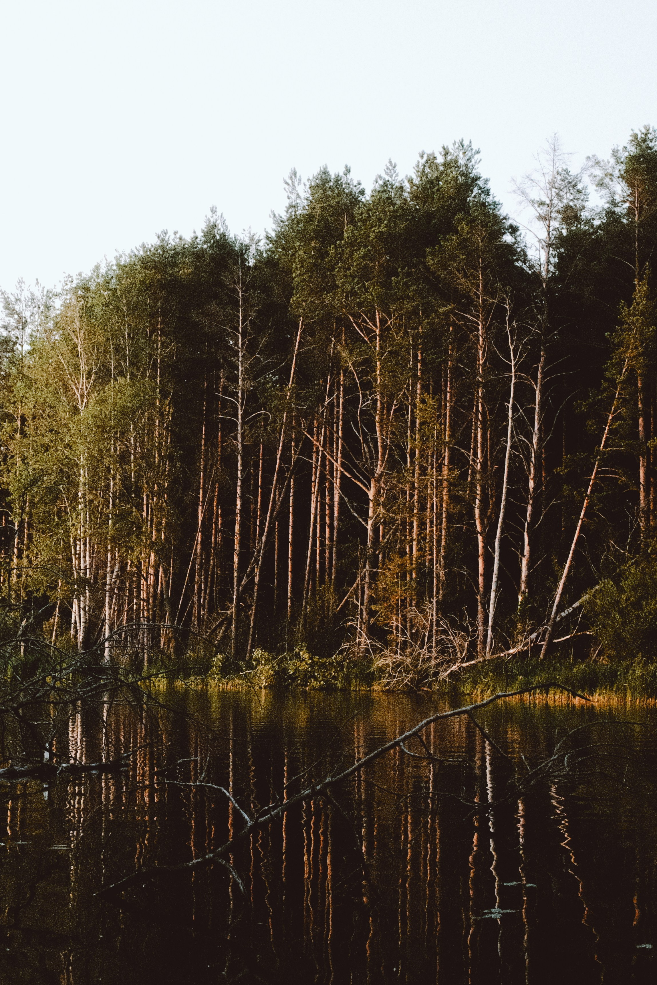 Пейзажи. Фотограф-любитель из Кирова Андрей Погребняк