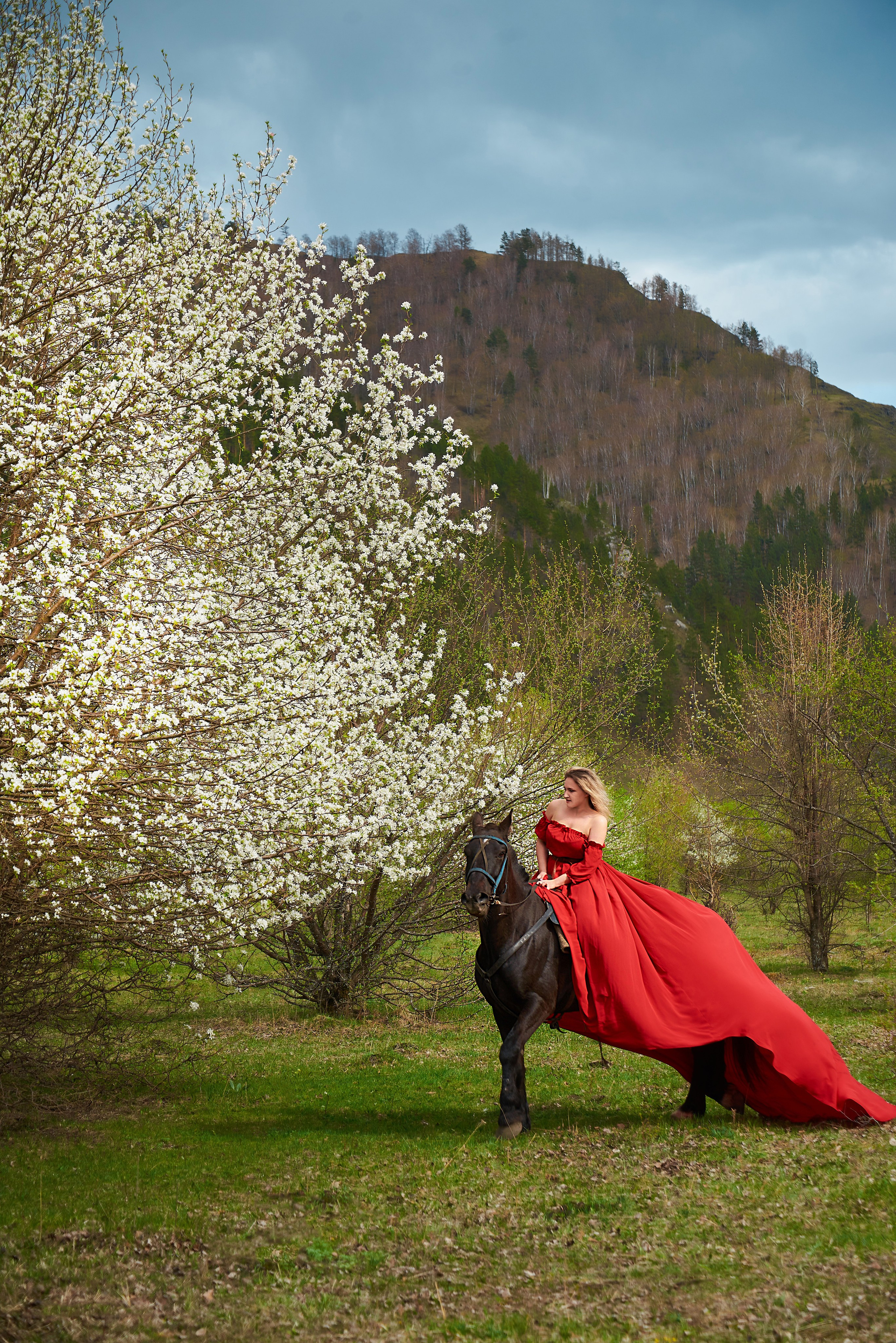 Елена. Семейный фотограф в Барнауле, Горный Алтай, Заринск, Алейск