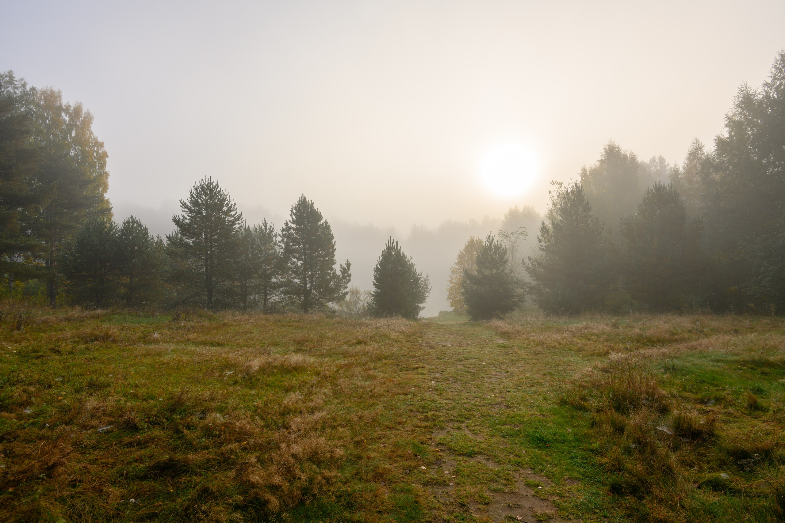 Лето. Туманное утро на берегу озера.  Еще больше видовых фотографий в магазине.