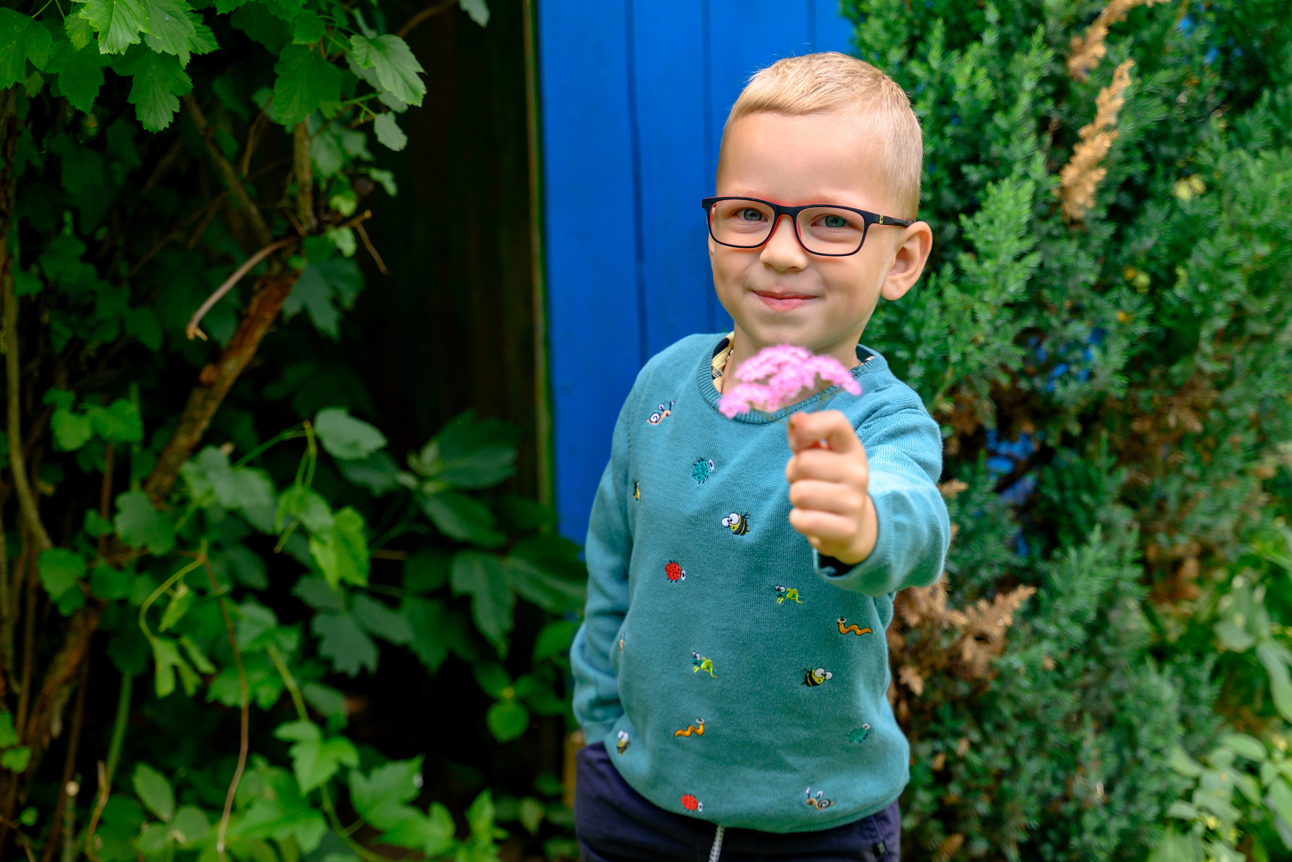 цветы в августе