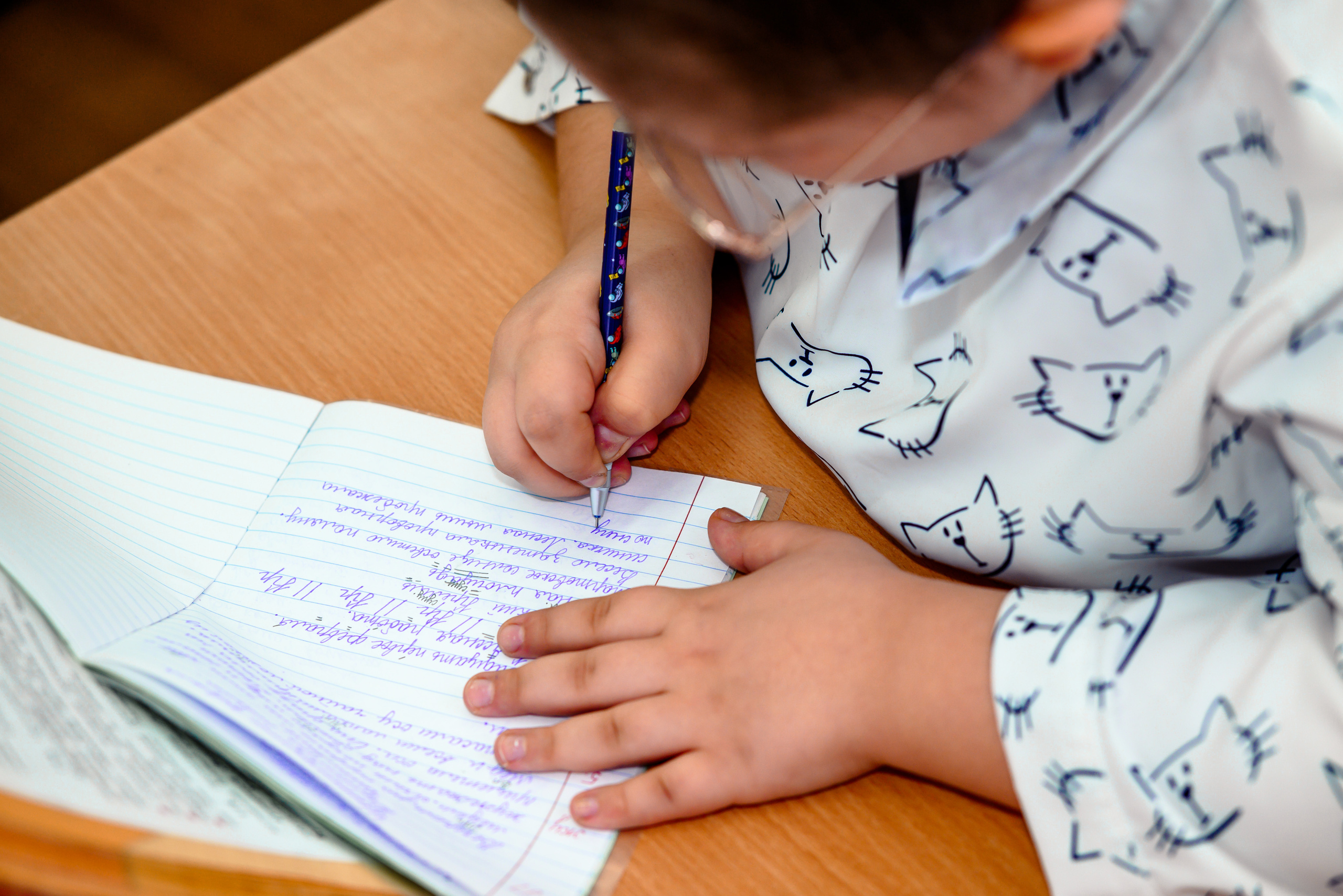 Выпускные альбомы для начальной школы в Туле. Выпускные альбомы в Туле и Тульской области для школ и детских садов