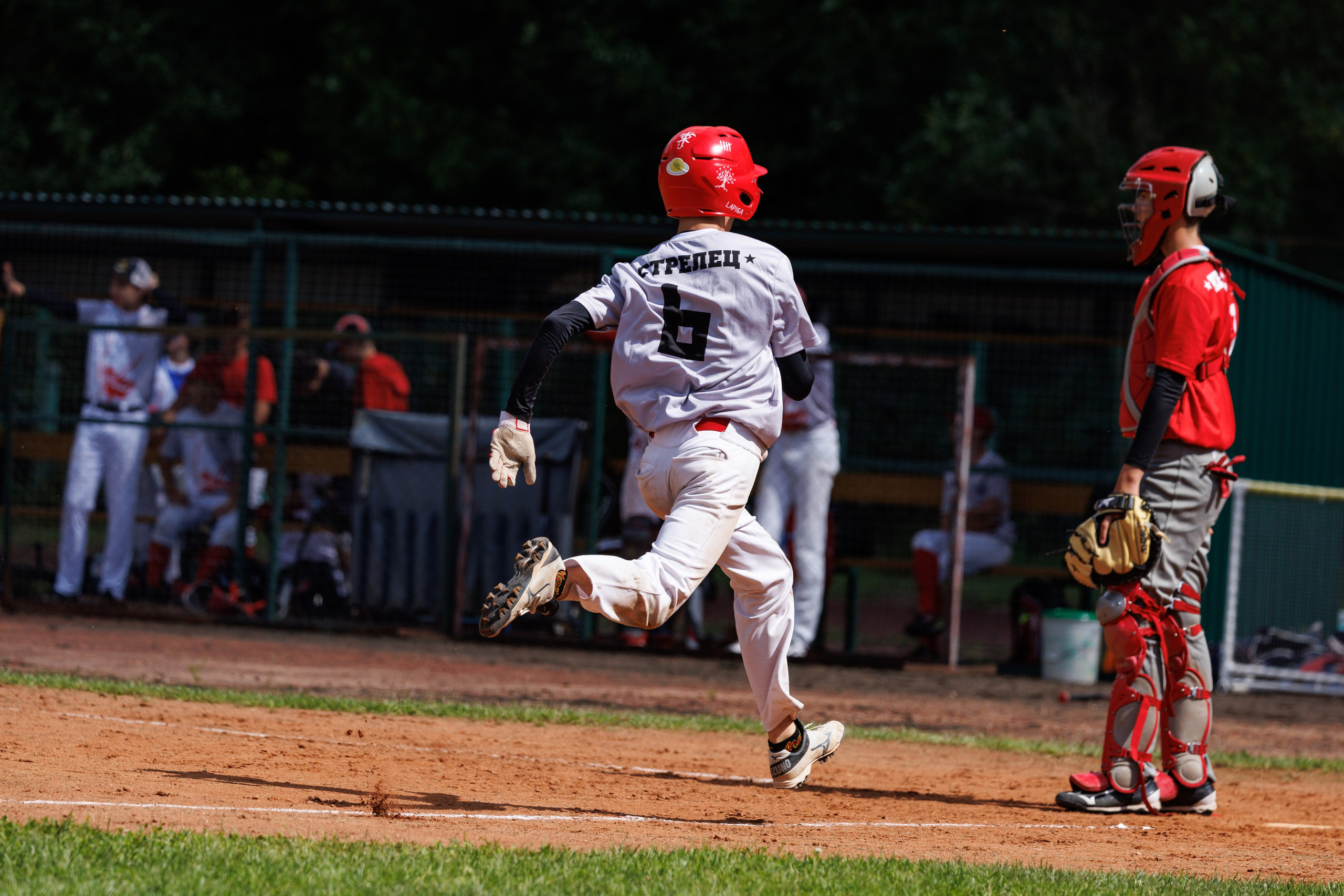 Кубок Олимпии / Лига кадетов / Фотоальбом. Спортивный фотограф Алексей Соломин