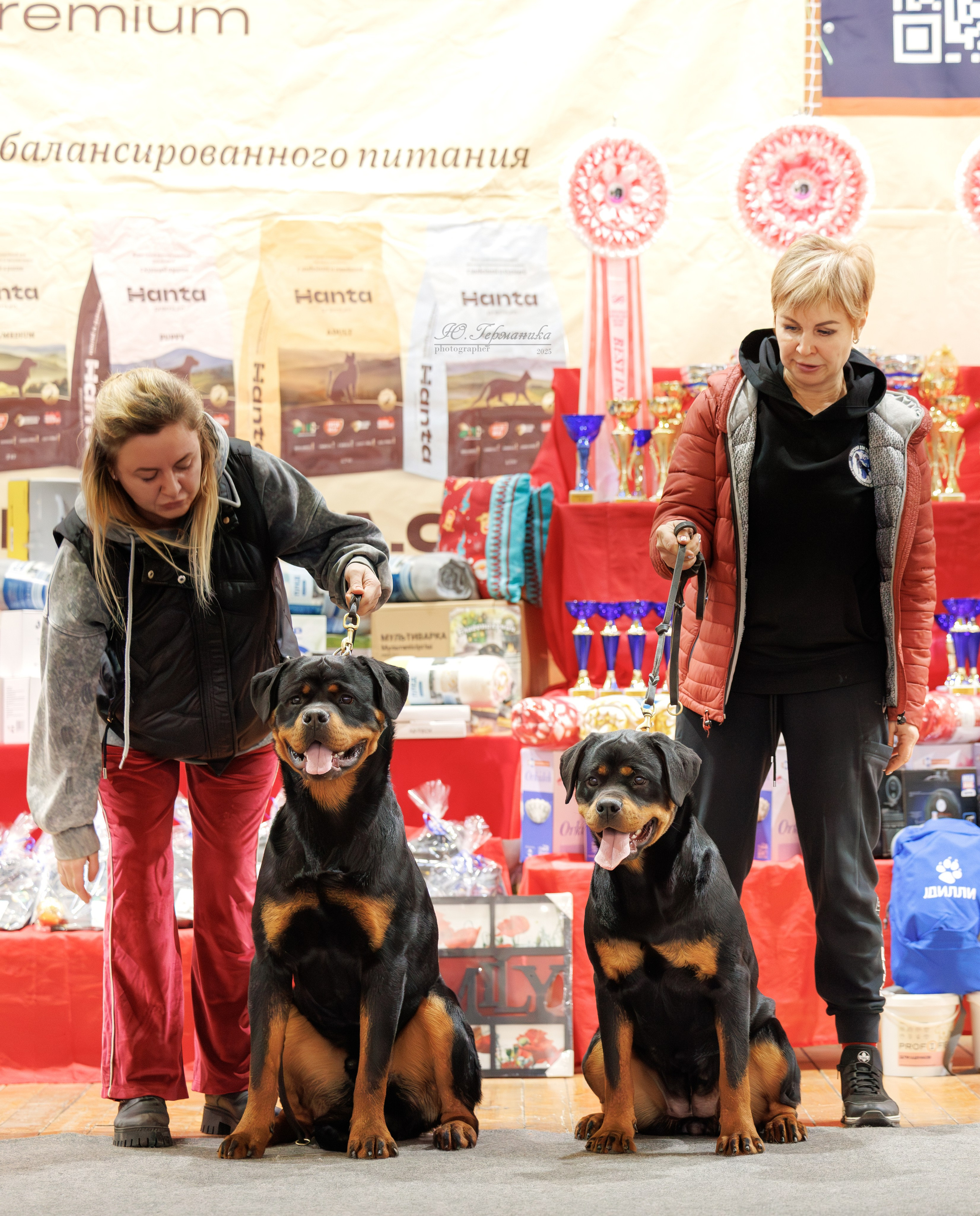 Тверь 21.12.2025. Фотограф-анималист Юлия Германика