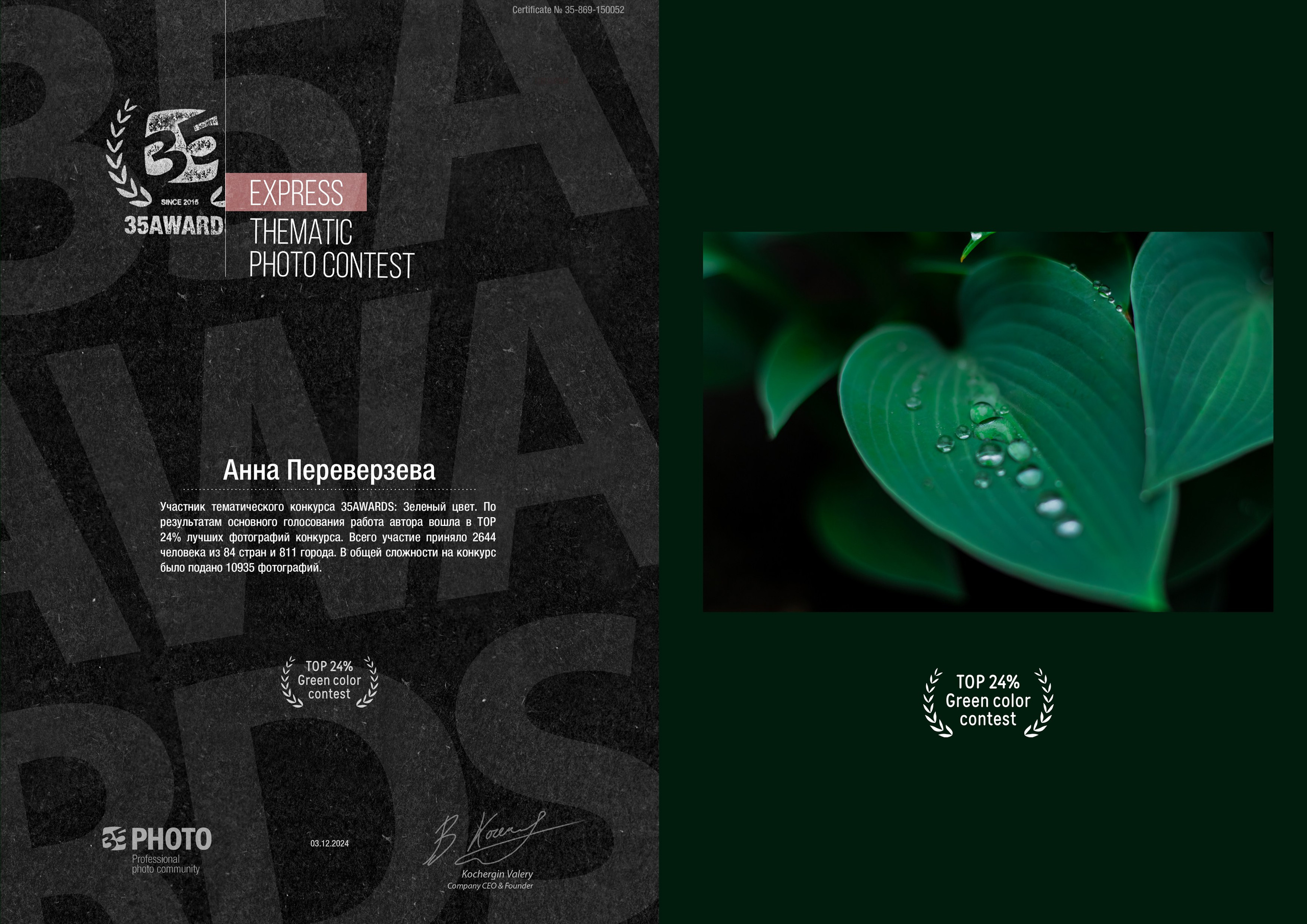 Дипломы в фотоконкурсах. Фотограф в Екатеринбурге Переверзева Анна