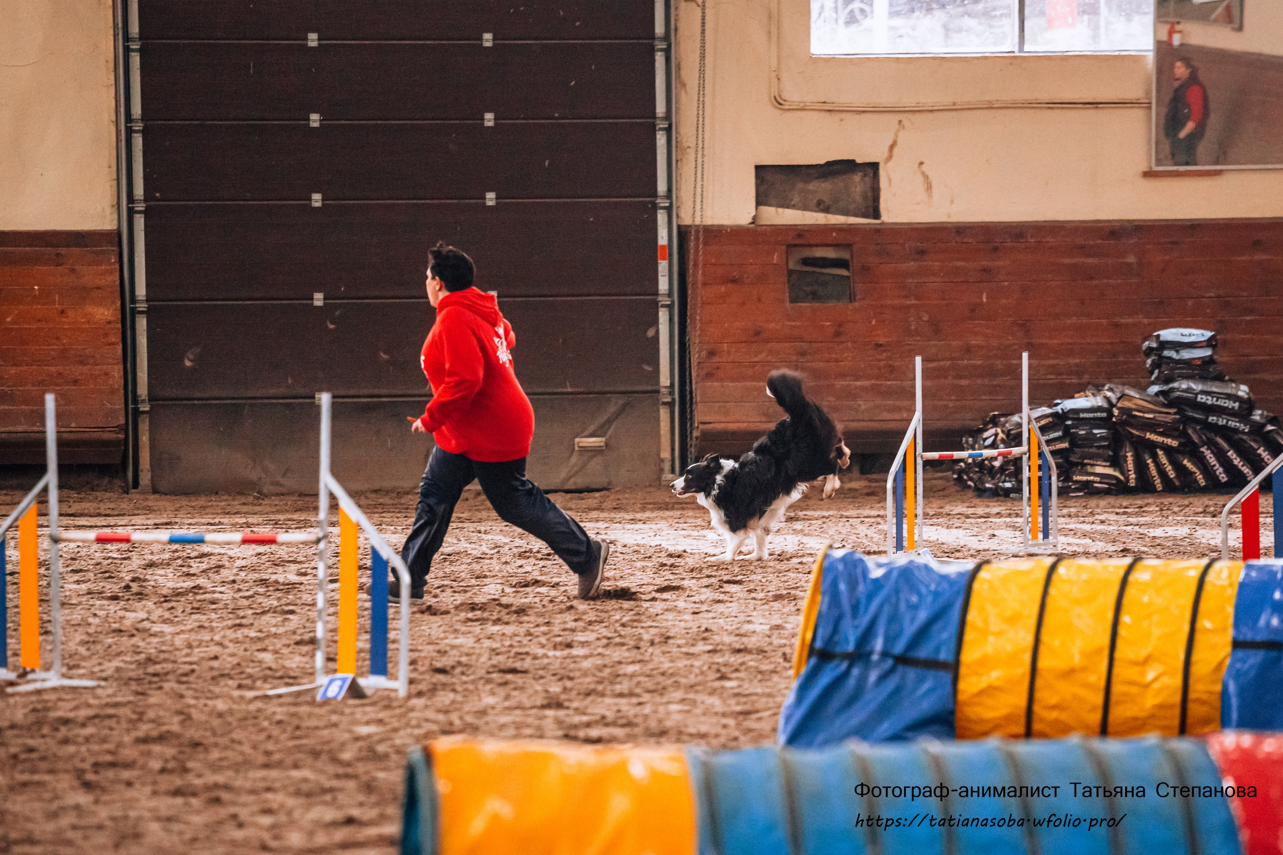 Соревнования по Аджилити 25.02.2024. Фотограф-анималист Татьяна Степанова