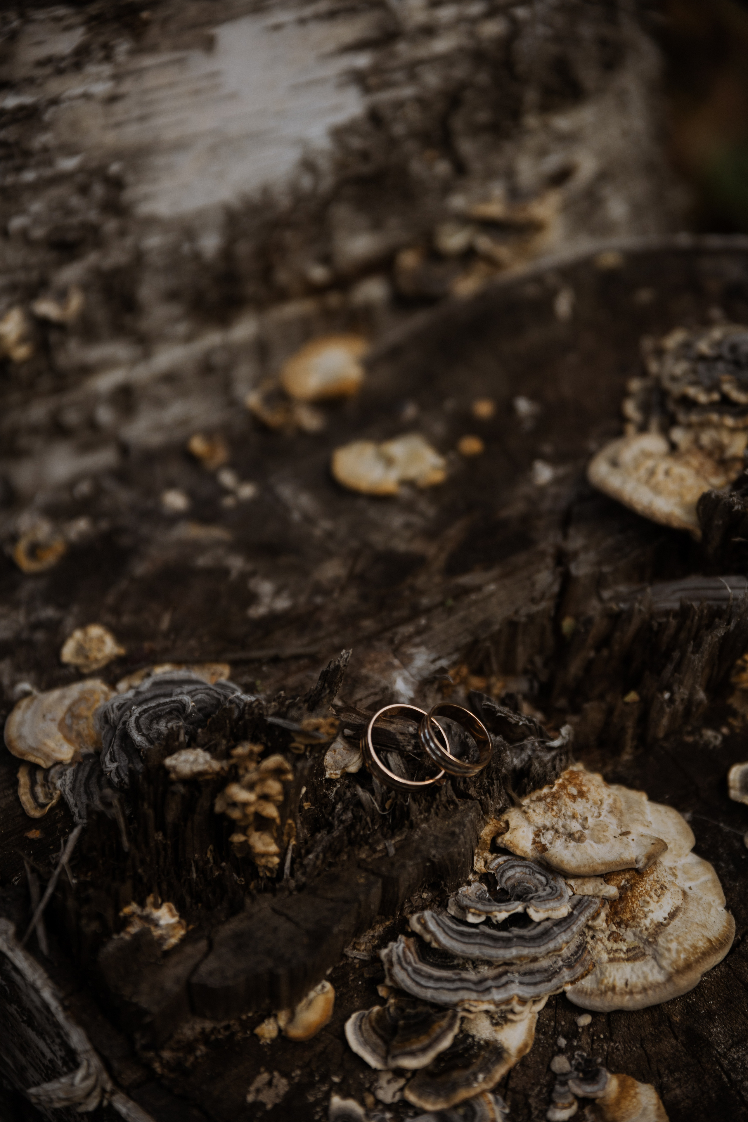 Свадебный фотограф Санкт-Петербург