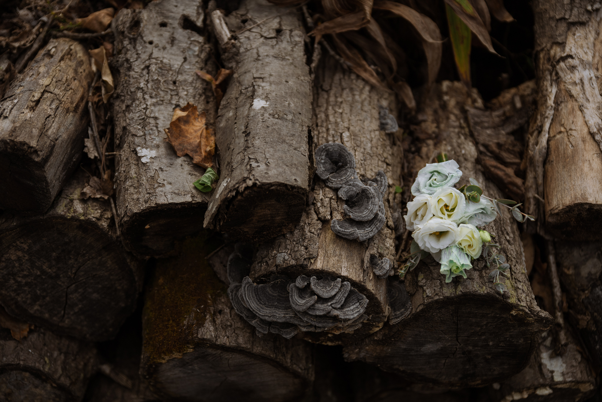 Свадебный фотограф Санкт-Петербург