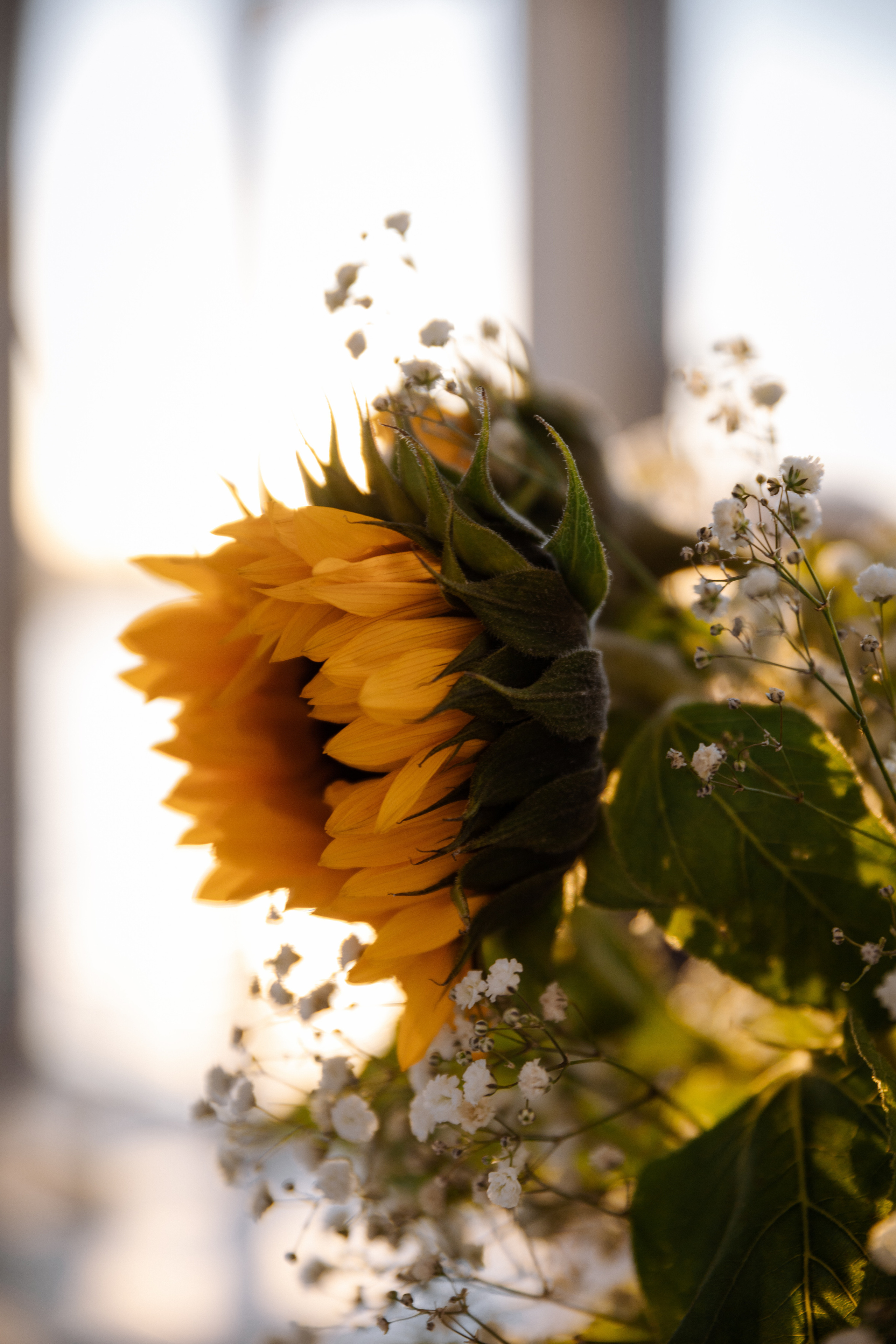 Свадебный фотограф Санкт-Петербург