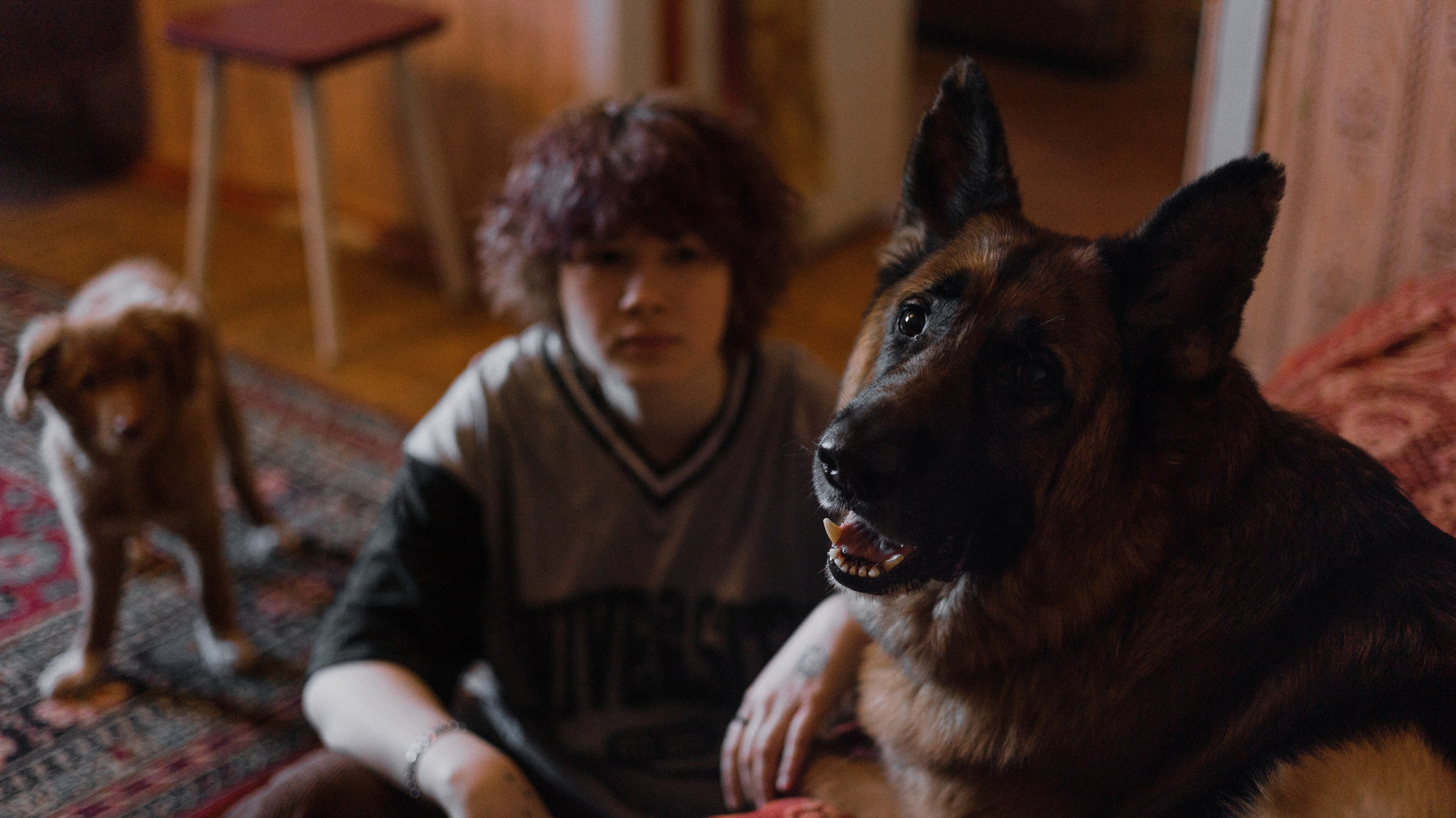 Лера, Реджи и Ральф. Фотограф-анималист Богданова Полина