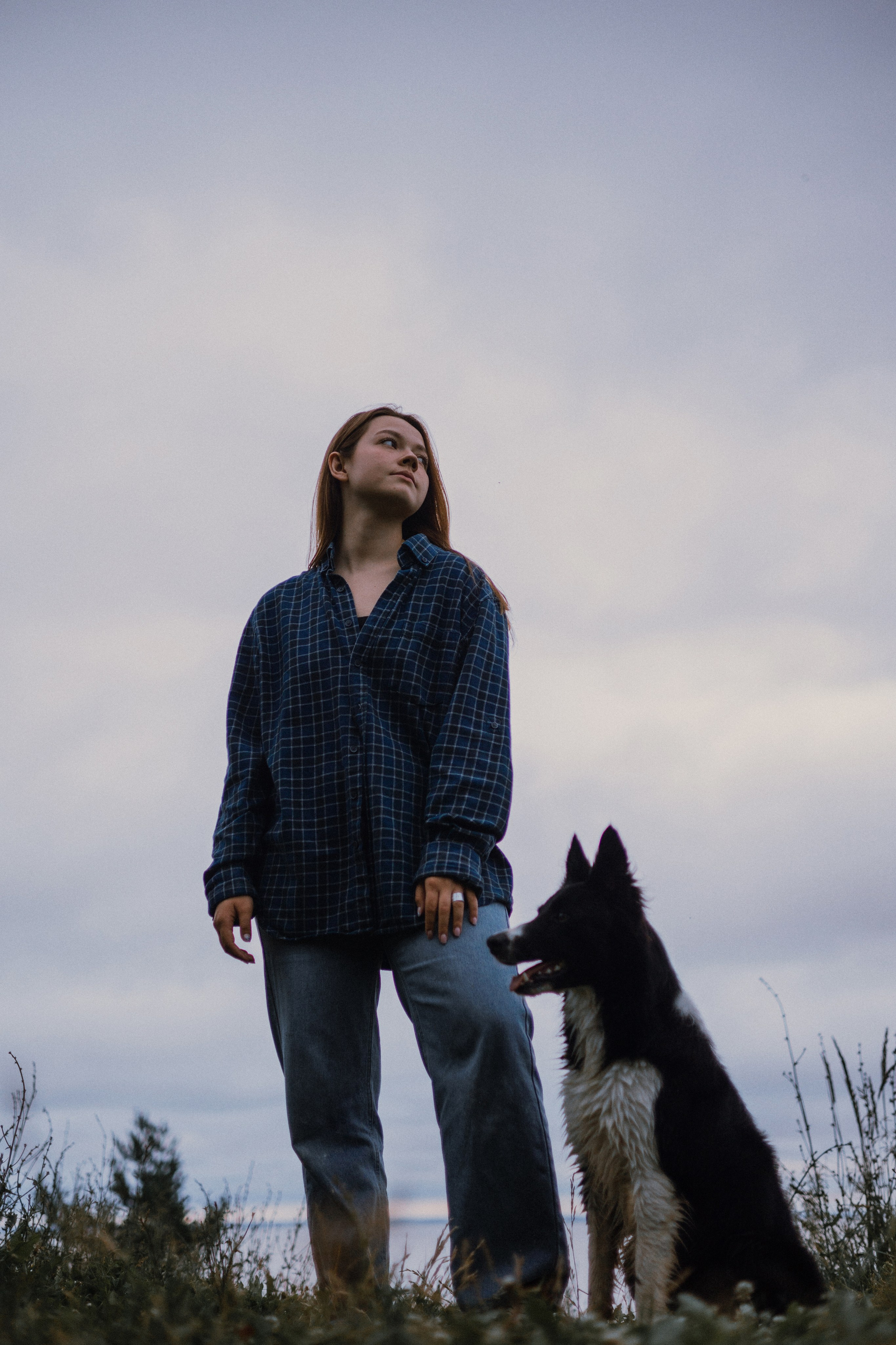 Аделя, Вандер, Шайна и Бая. Фотограф-анималист Богданова Полина