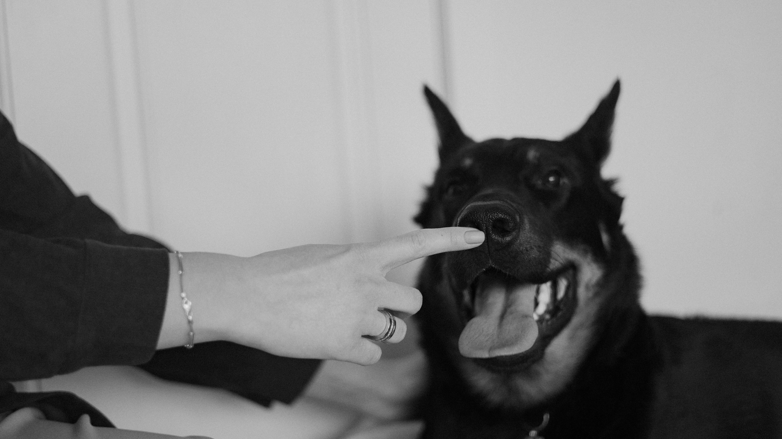 Полина и Зевс. Фотограф-анималист Богданова Полина