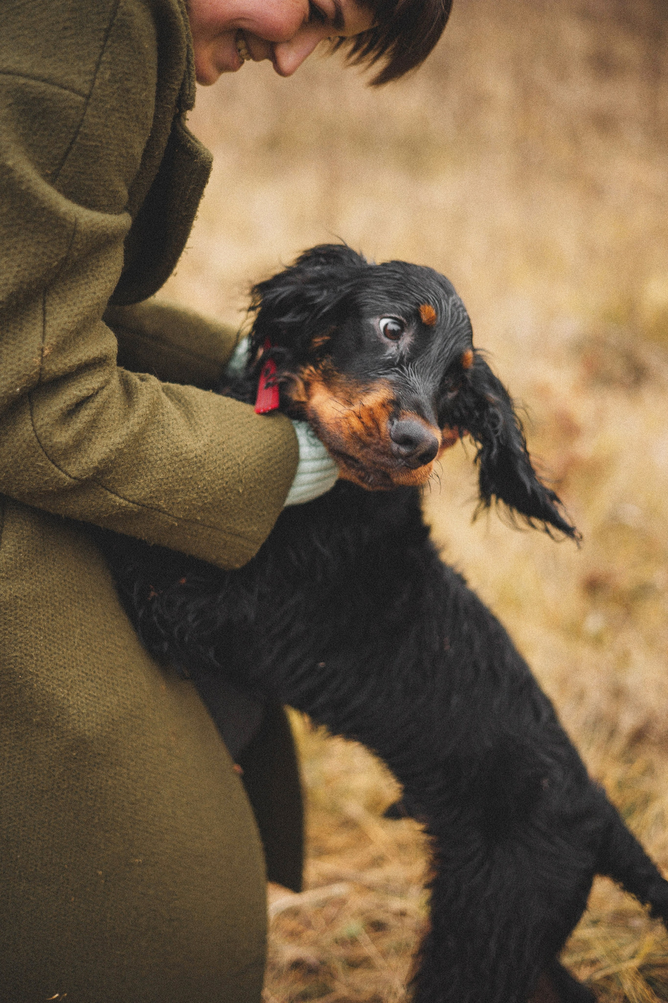 Даша, Глеб, Барс и Бруно. Фотограф-анималист Богданова Полина
