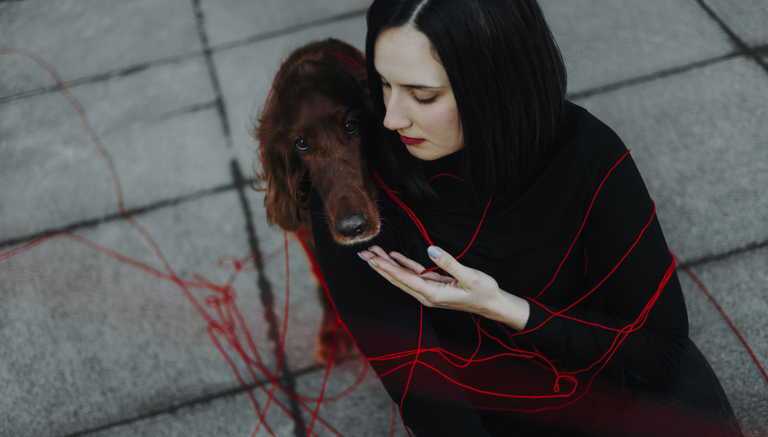 Маша и Лика. Фотограф-анималист Богданова Полина
