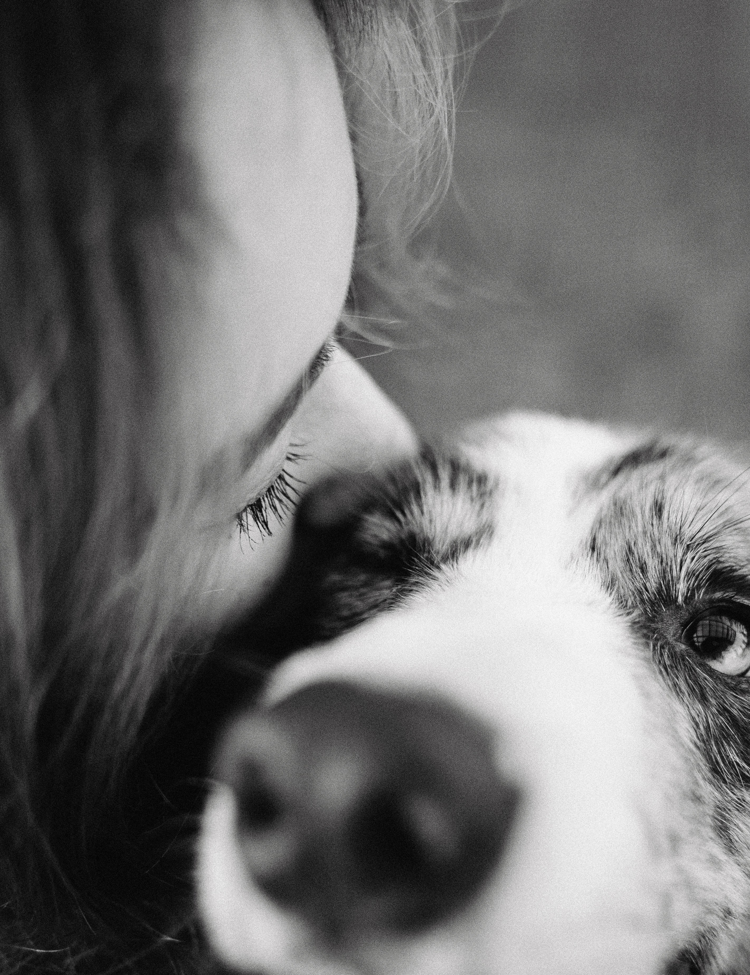 Диана и Робин. Фотограф-анималист Богданова Полина