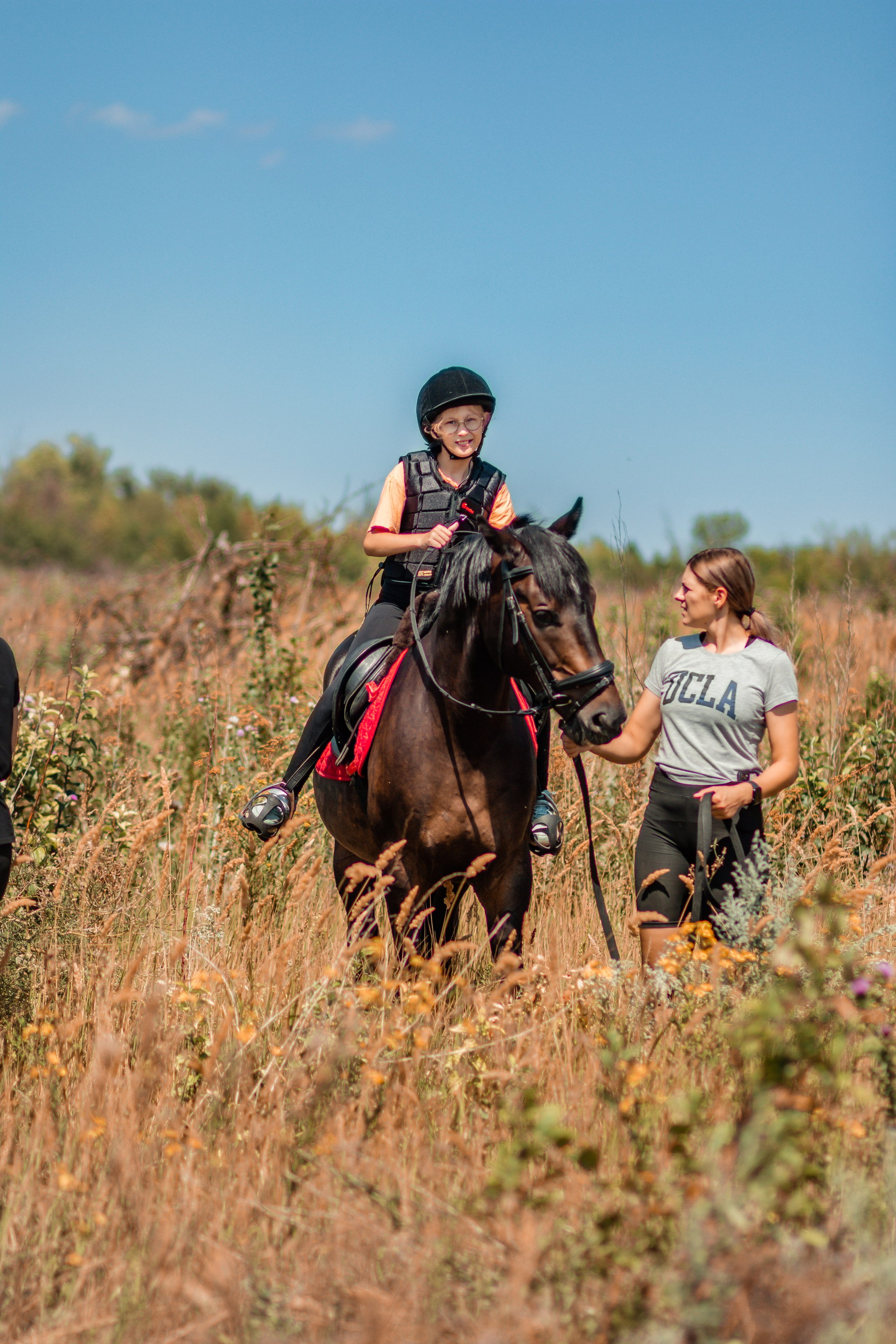 Выезды в поля на лошади