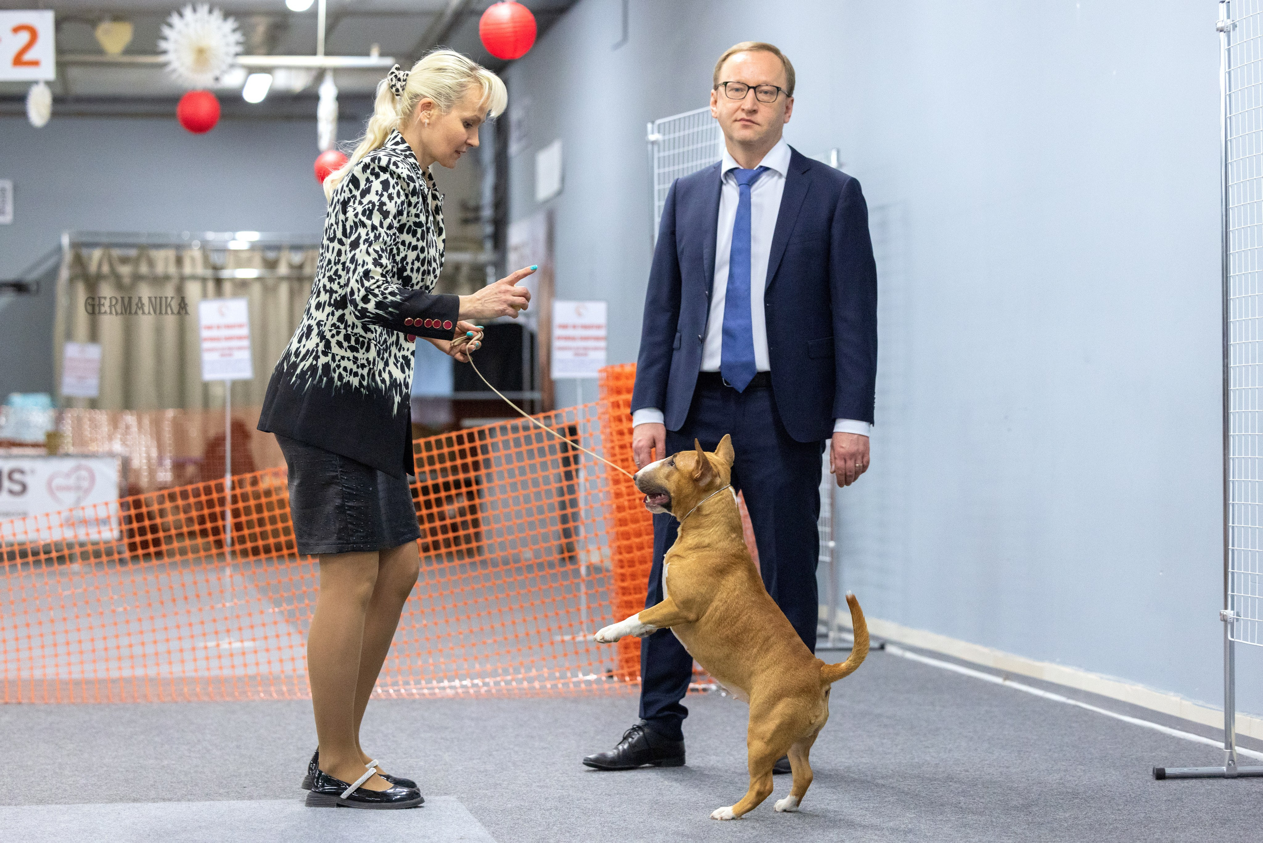 Сфера 28.01. и 4.02.2024. Фотограф-анималист Юлия Германика