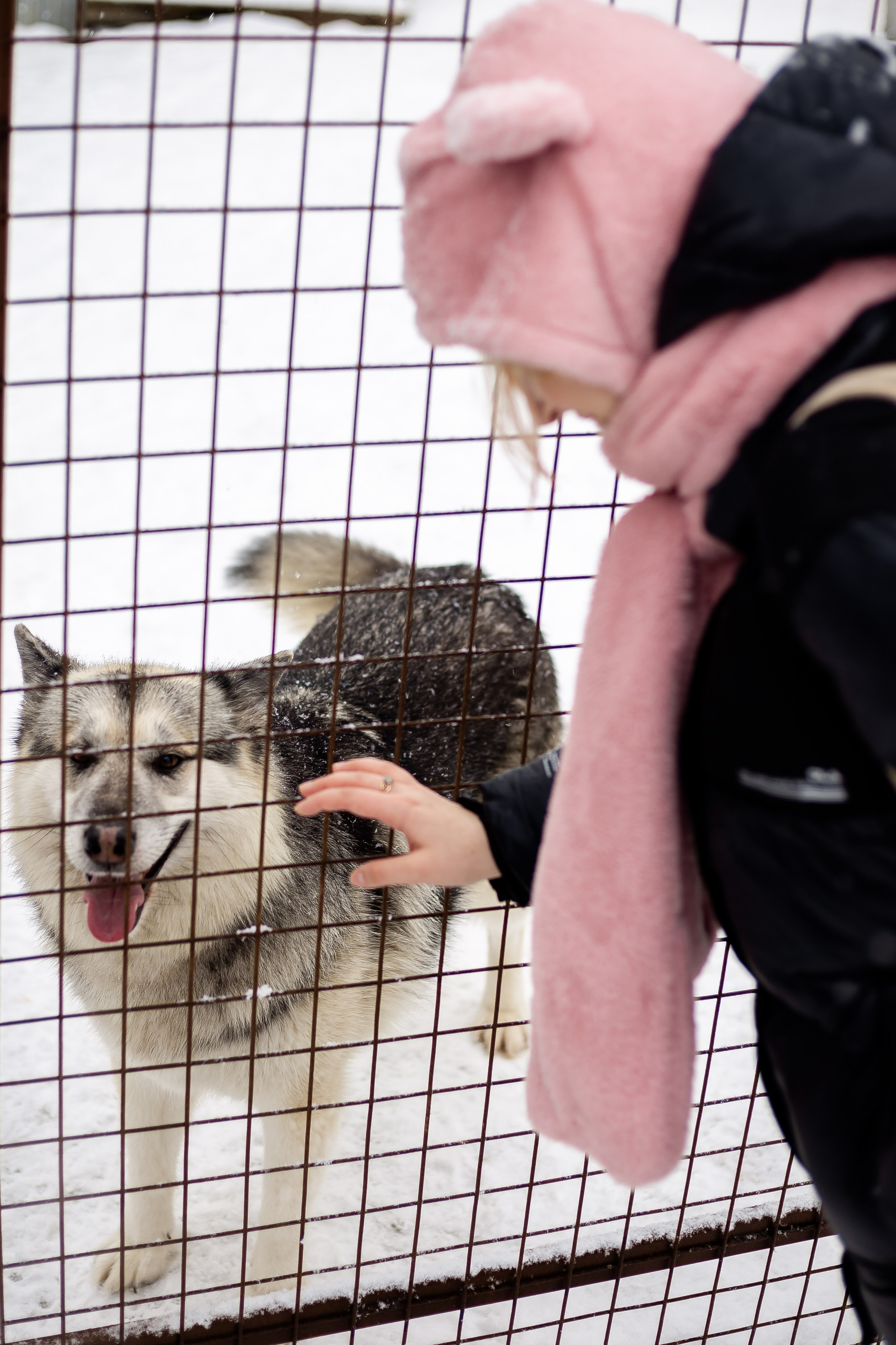 Petshop Забота. Фотограф в Санкт-Петербурге Чумаков Семен
