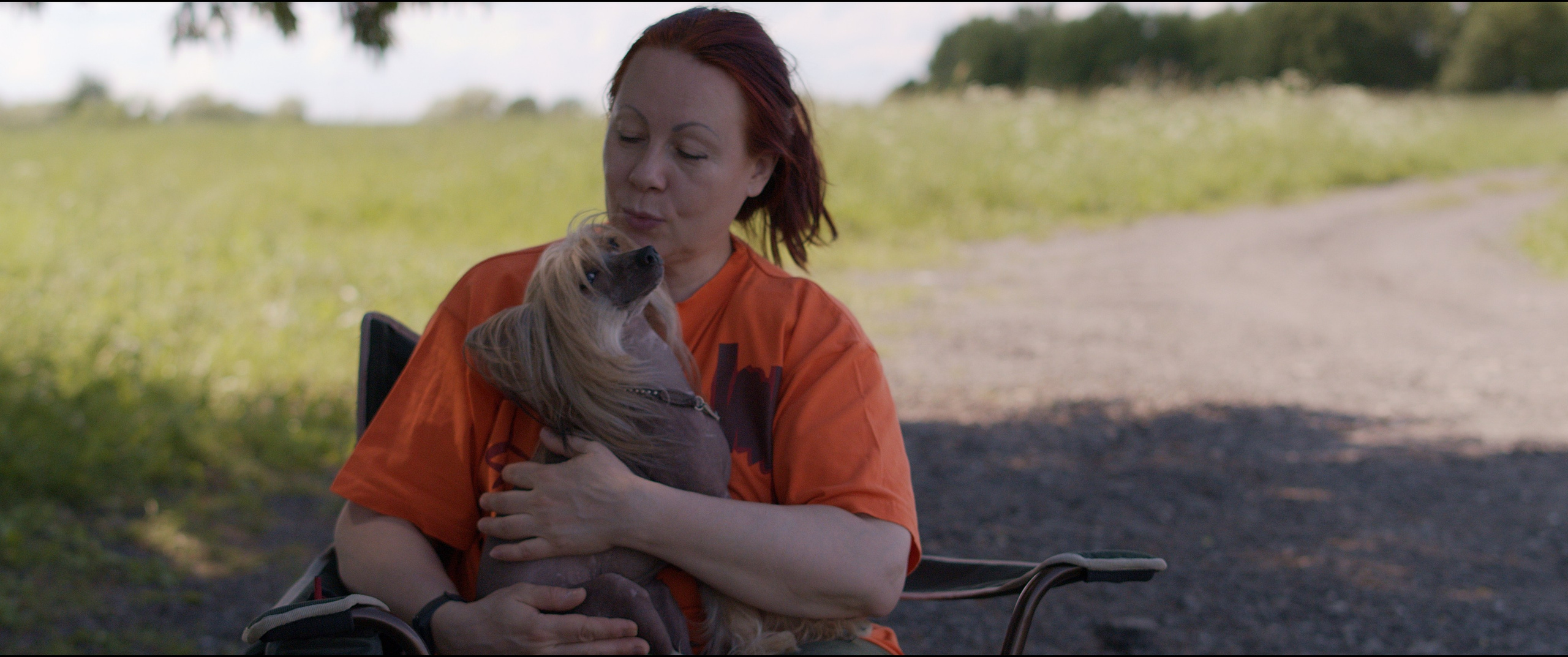 Footage from the interview. Poale Ell Chinese Crested Dog Kennel: Buy a puppy from the kennel