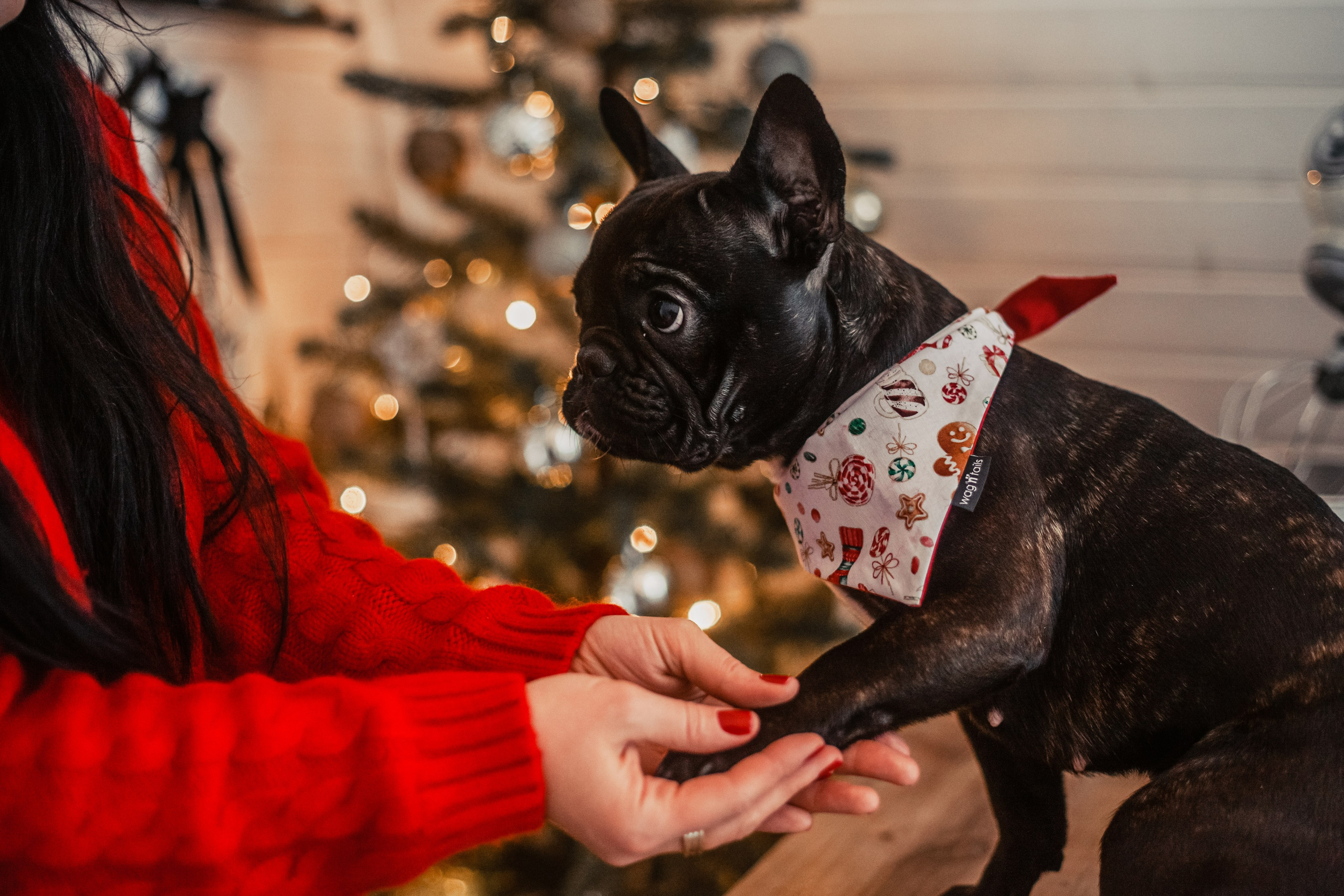 Кантри Хаус. Фотограф-анималист Татьяна Степанова