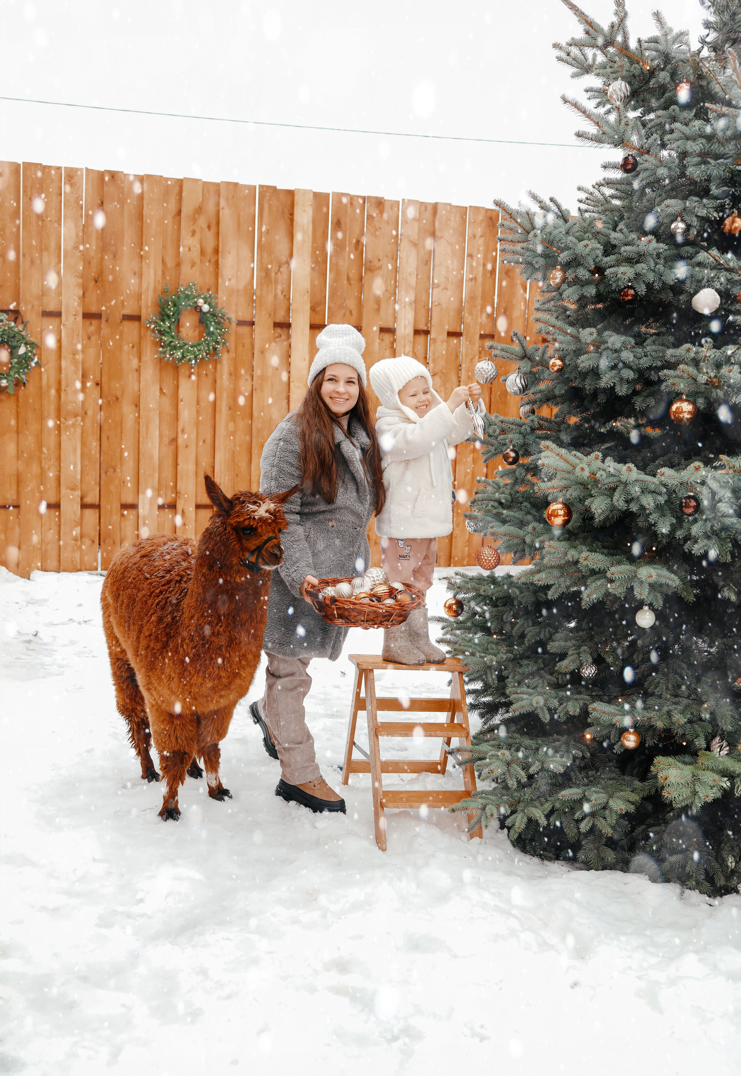 Фотосессия с Альпакой. Иванова Ирина Свадебный и семейный фотограф г. Уфа