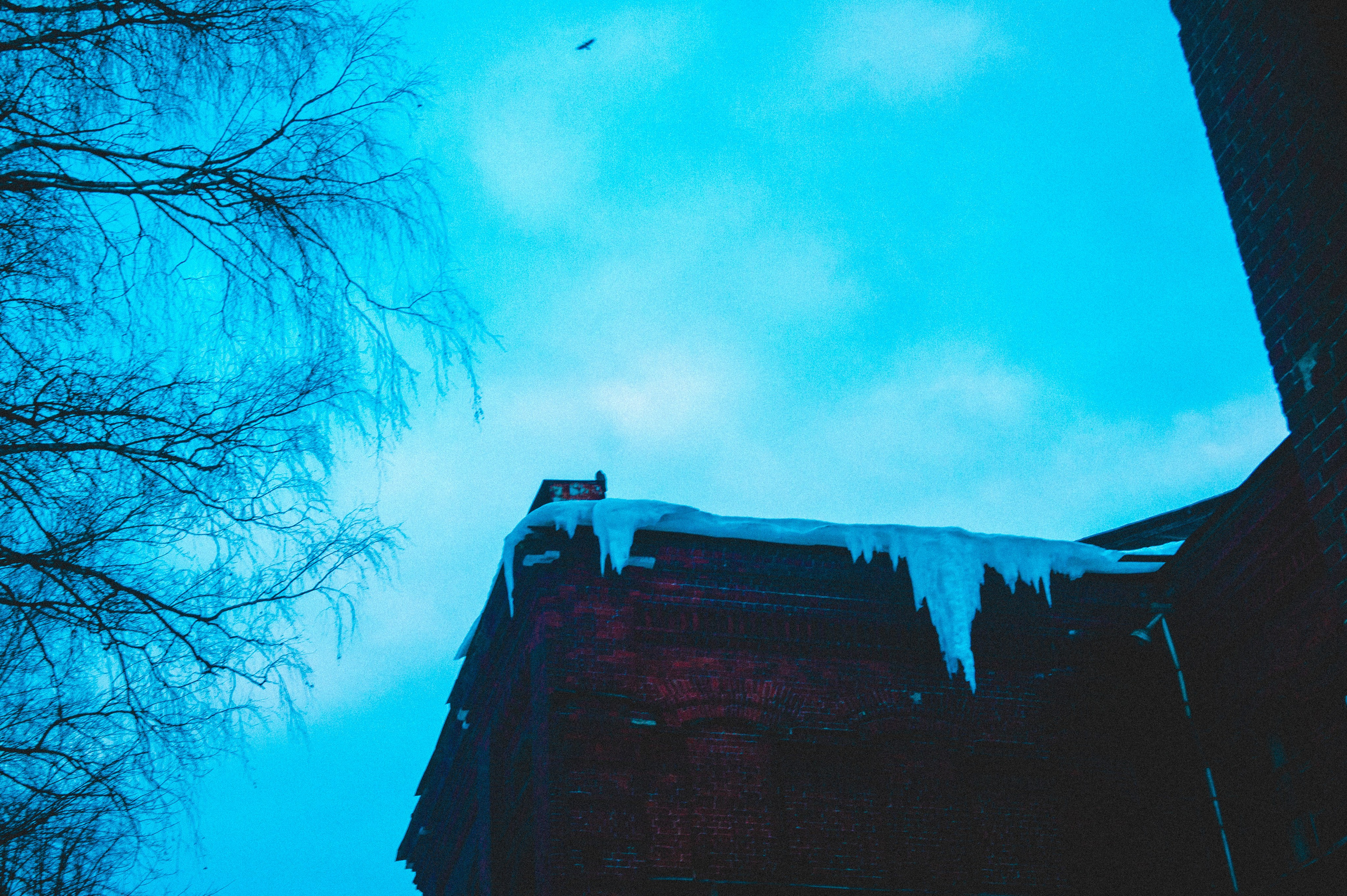 Remnants of Winter. Den Mirov — Photographer, Musician