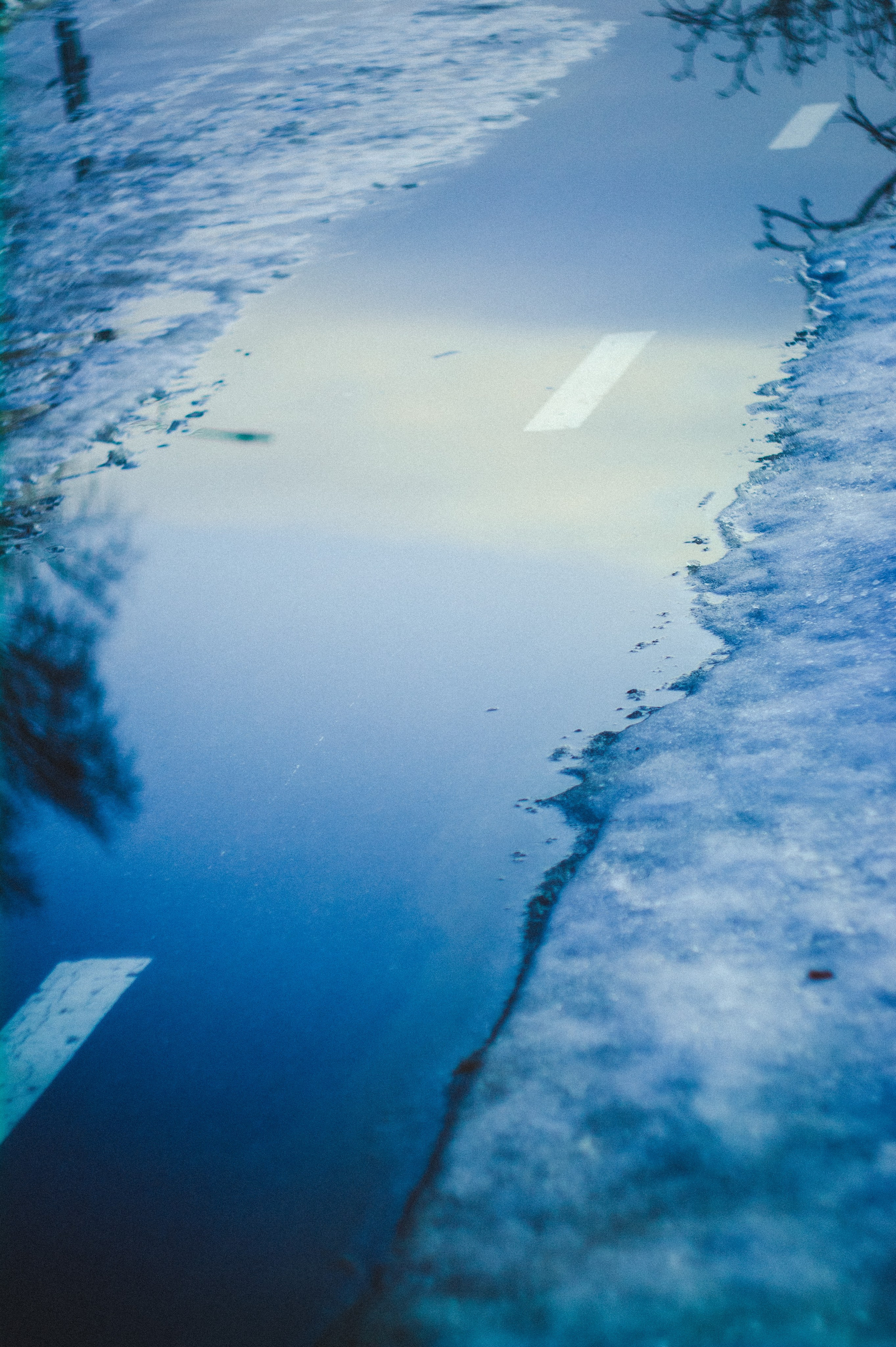 Narcissist. Den Mirov — Photographer, Musician