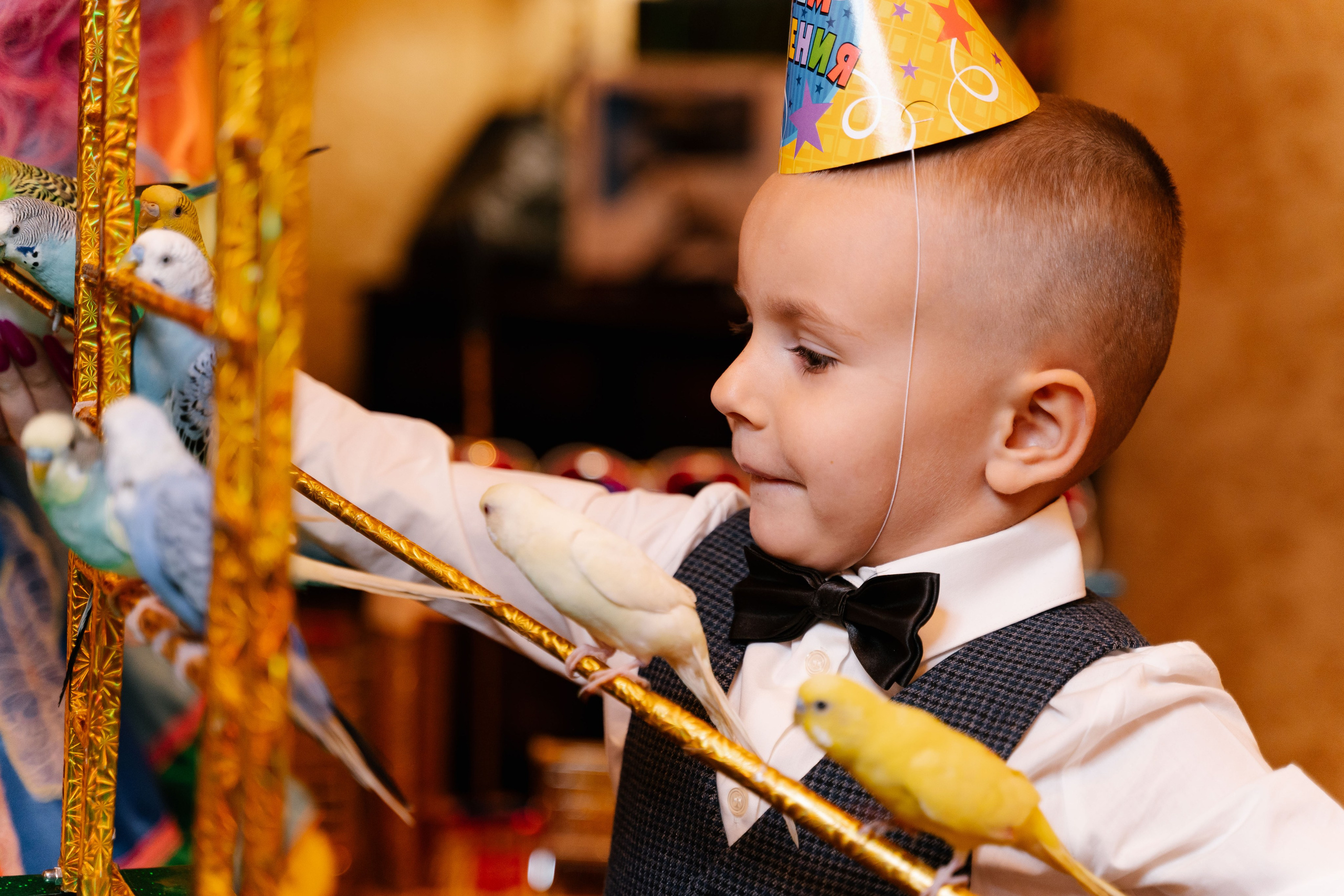 Давид 5 лет. Фотограф Москва