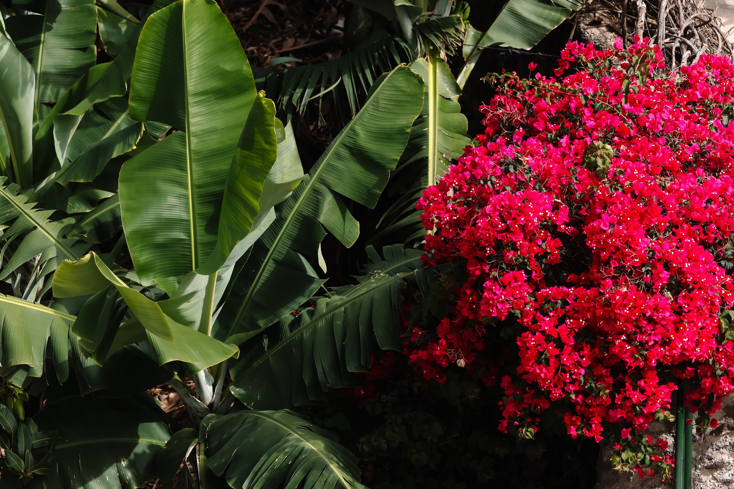 Casa Catuja. Фотограф Виктория Волкова. Москва